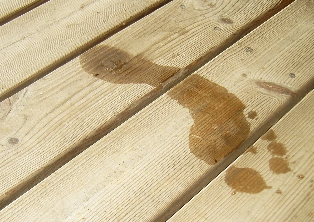 HOE ONDERHOUD JE EEN SAUNA? 9 TIPS!
