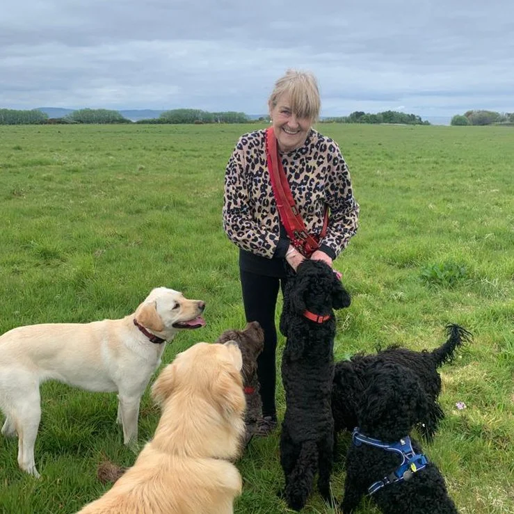 Our Team — Sociable Hounds Edinburgh Dog Walking & Dog Day Care Pet