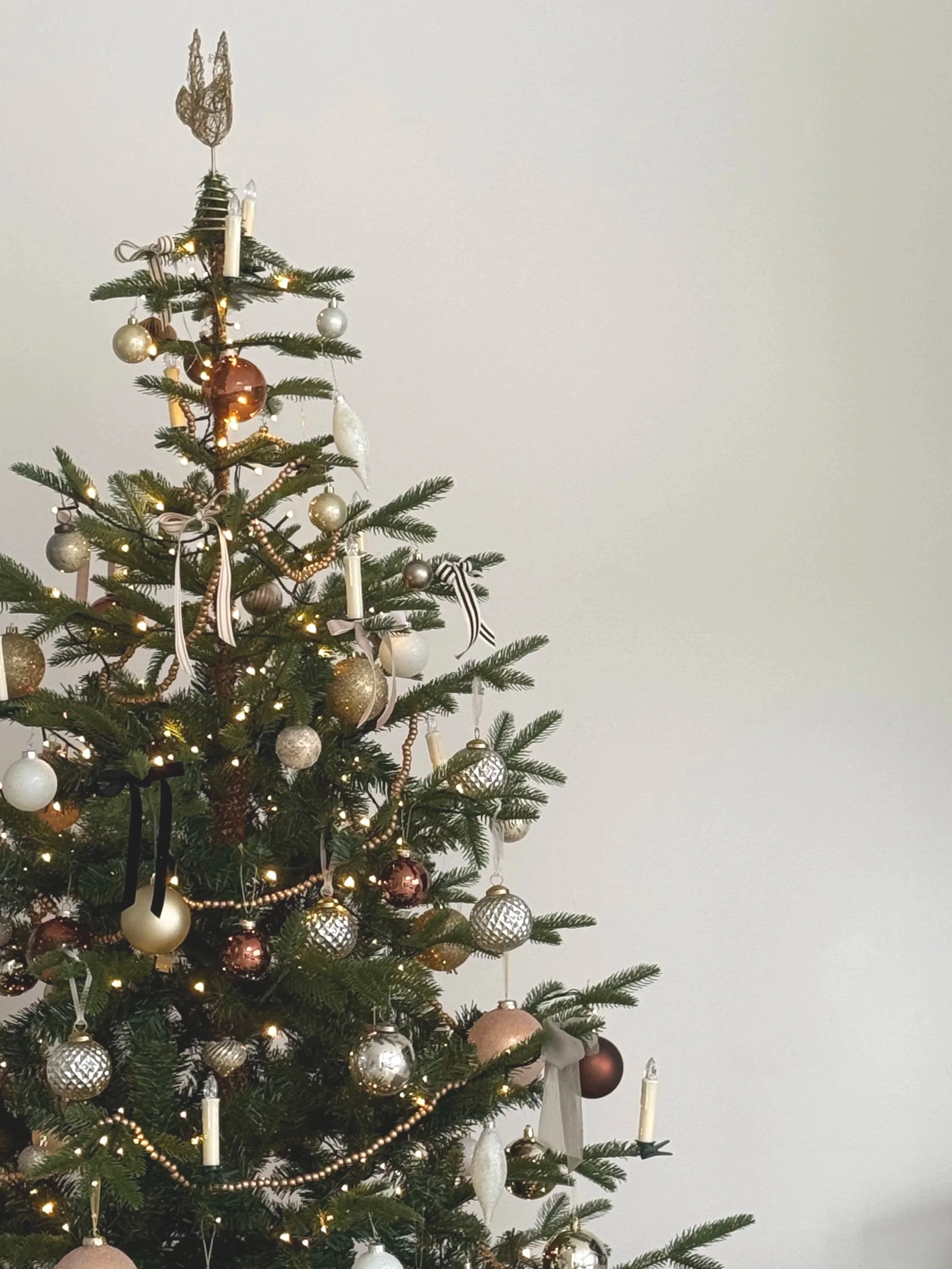 Noël et intestin irritable : trouver l’équilibre pendant les Fêtes