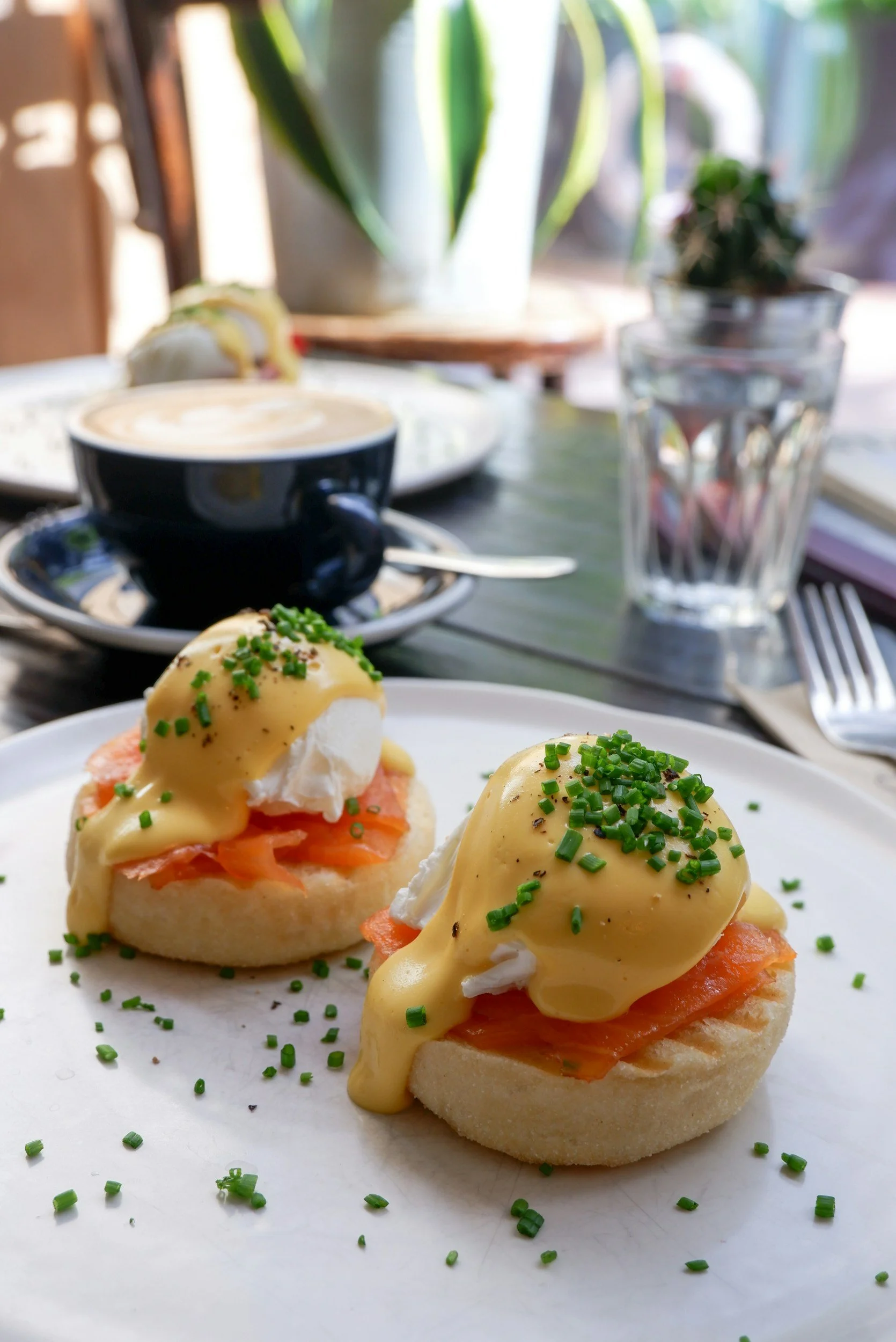 Oeufs bénédictine au saumon fumé