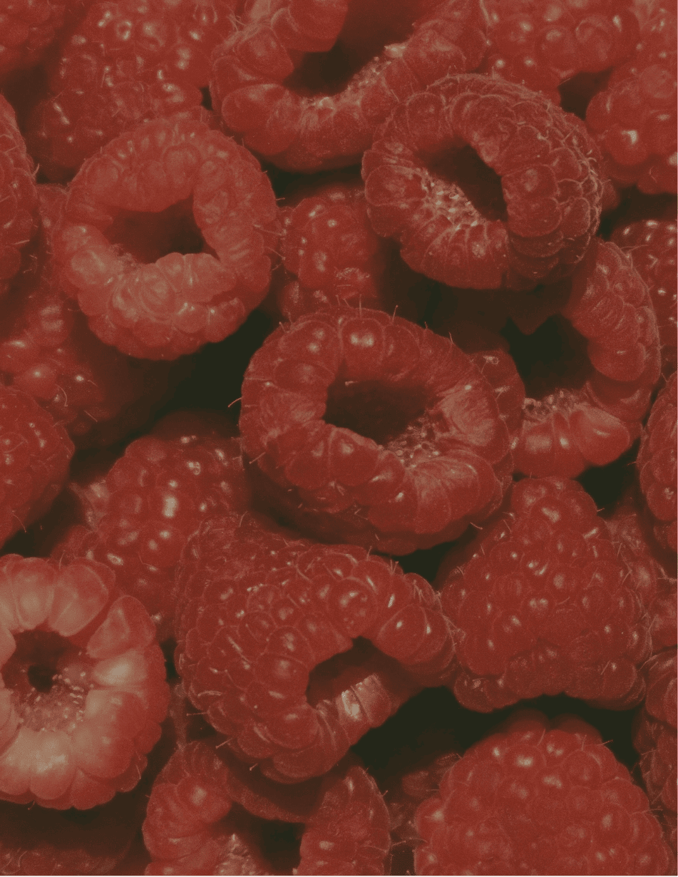 50 aliments riches en fibres pour une meilleure digestion