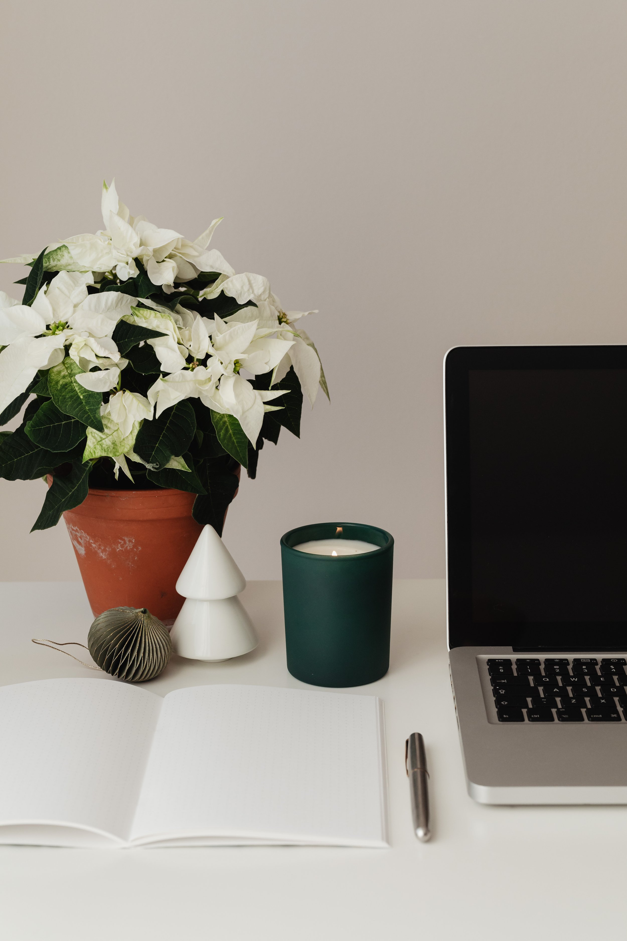Ordinateur, cahier, bougie et poinsettia blanc sur un bureau