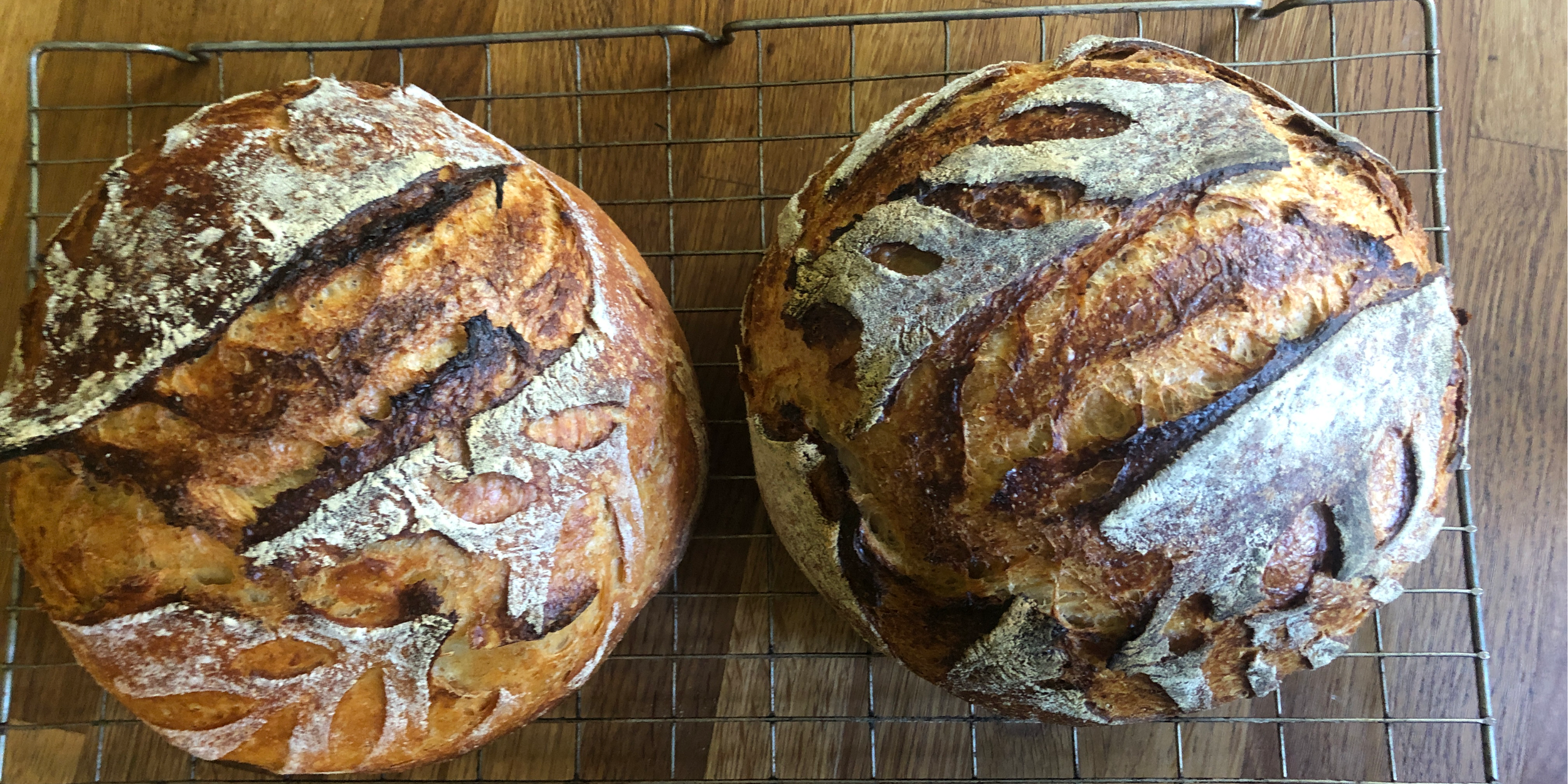 Celebrating Sourdough September 2023