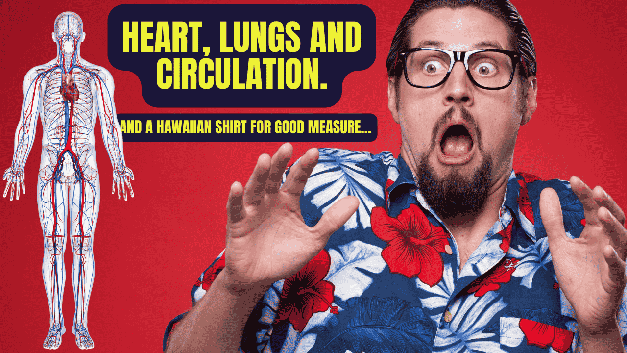 Training the Big Three: Heart, Lungs and Your Circulation