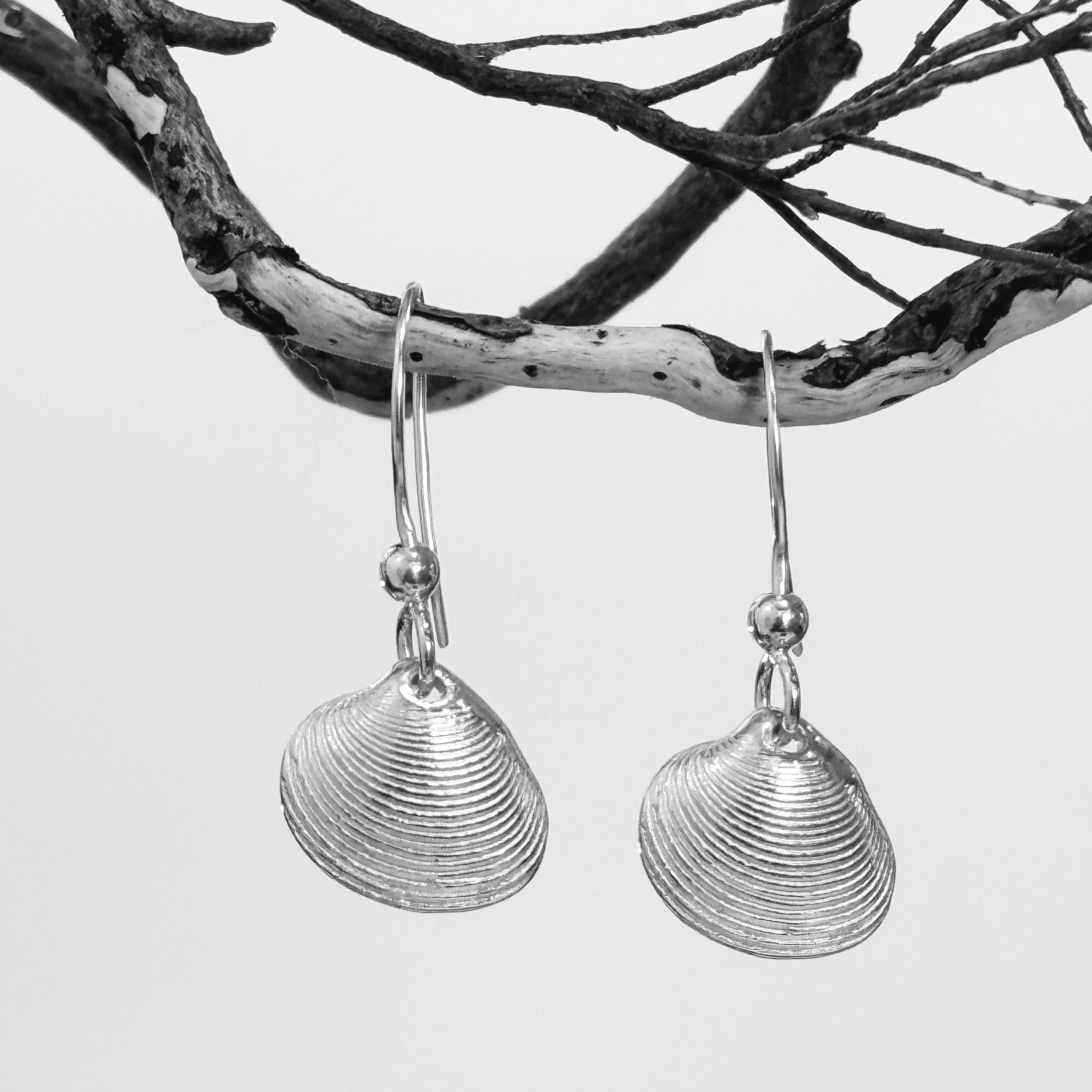 Clam Earrings