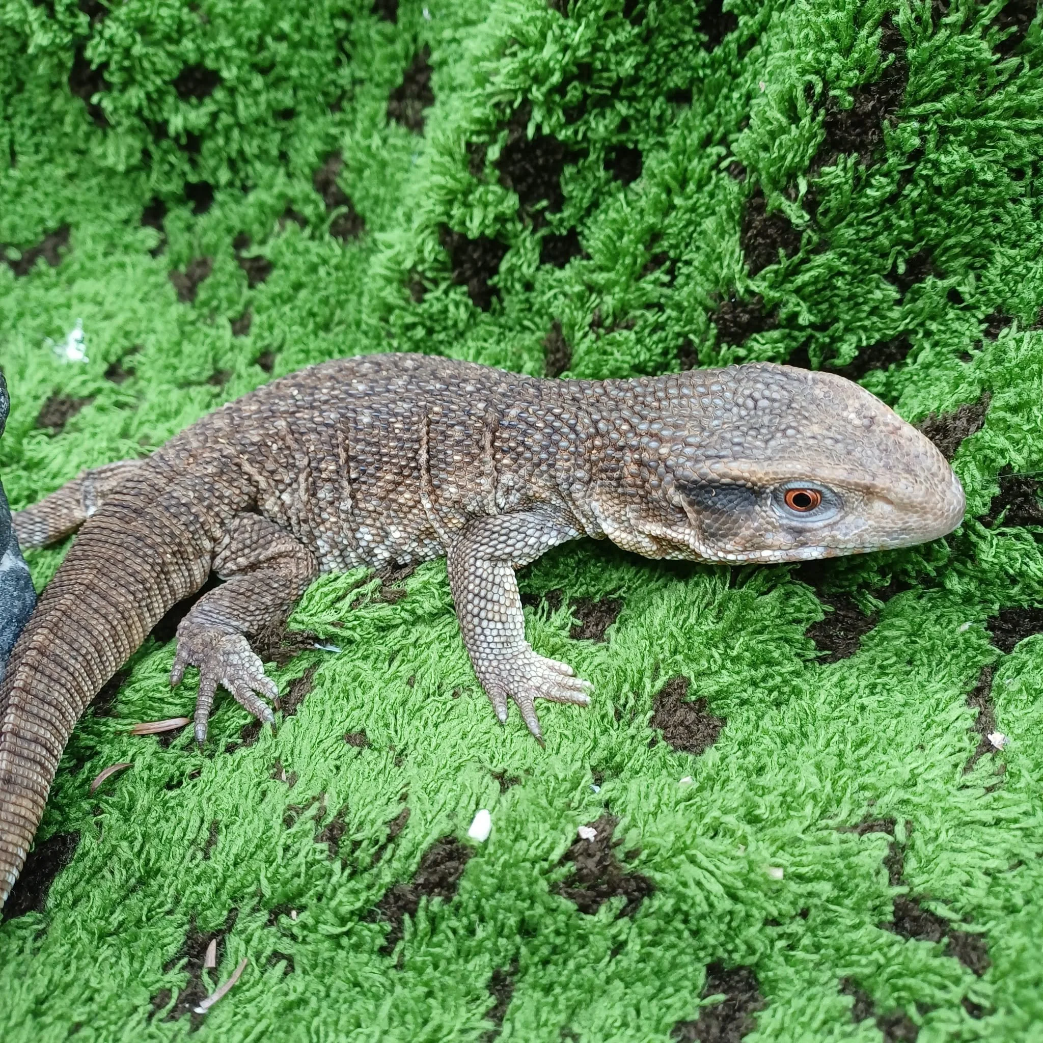 783c4579-d01e-4e2a-861e-da89dbf559e8.jpeg