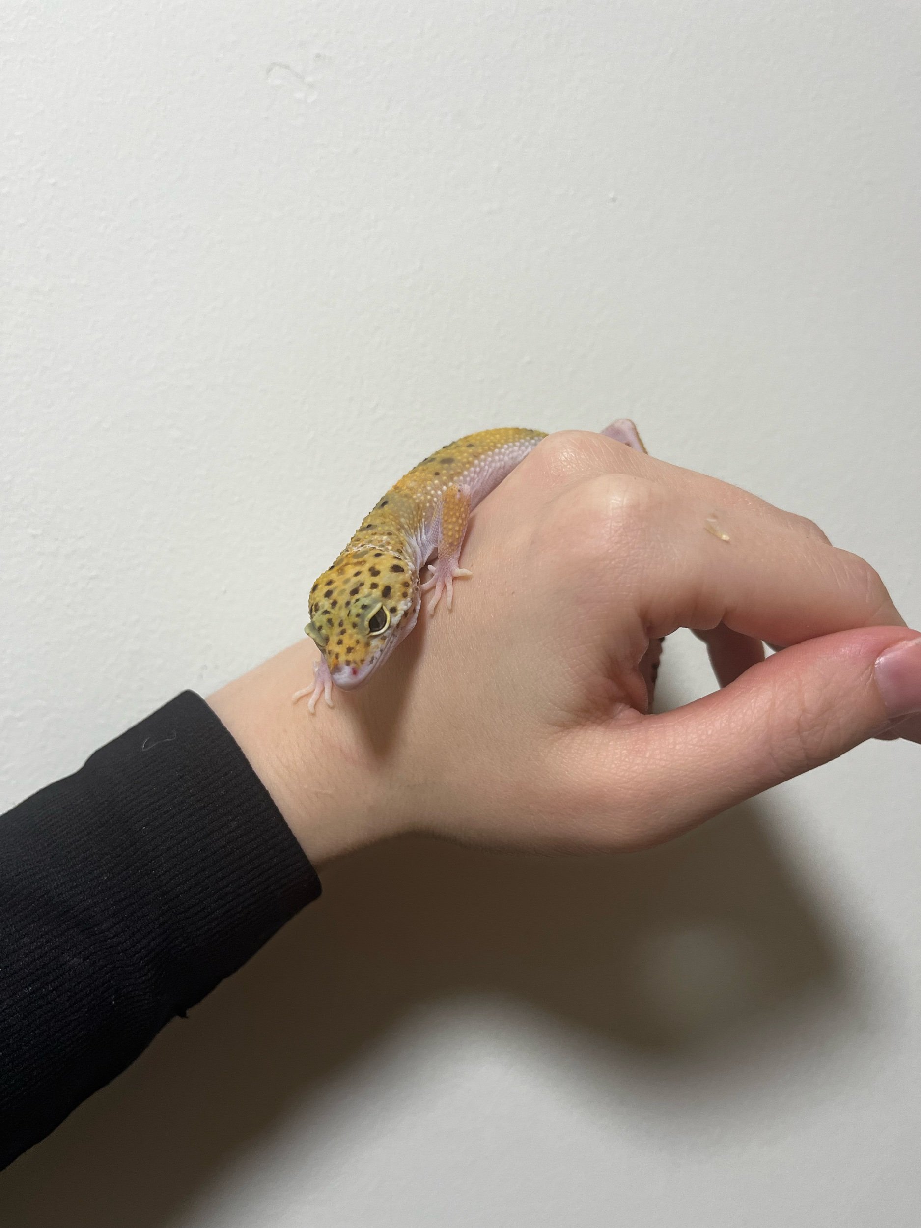 C12487FE-E523-4AB7-85AC-000C8041120E.jpeg