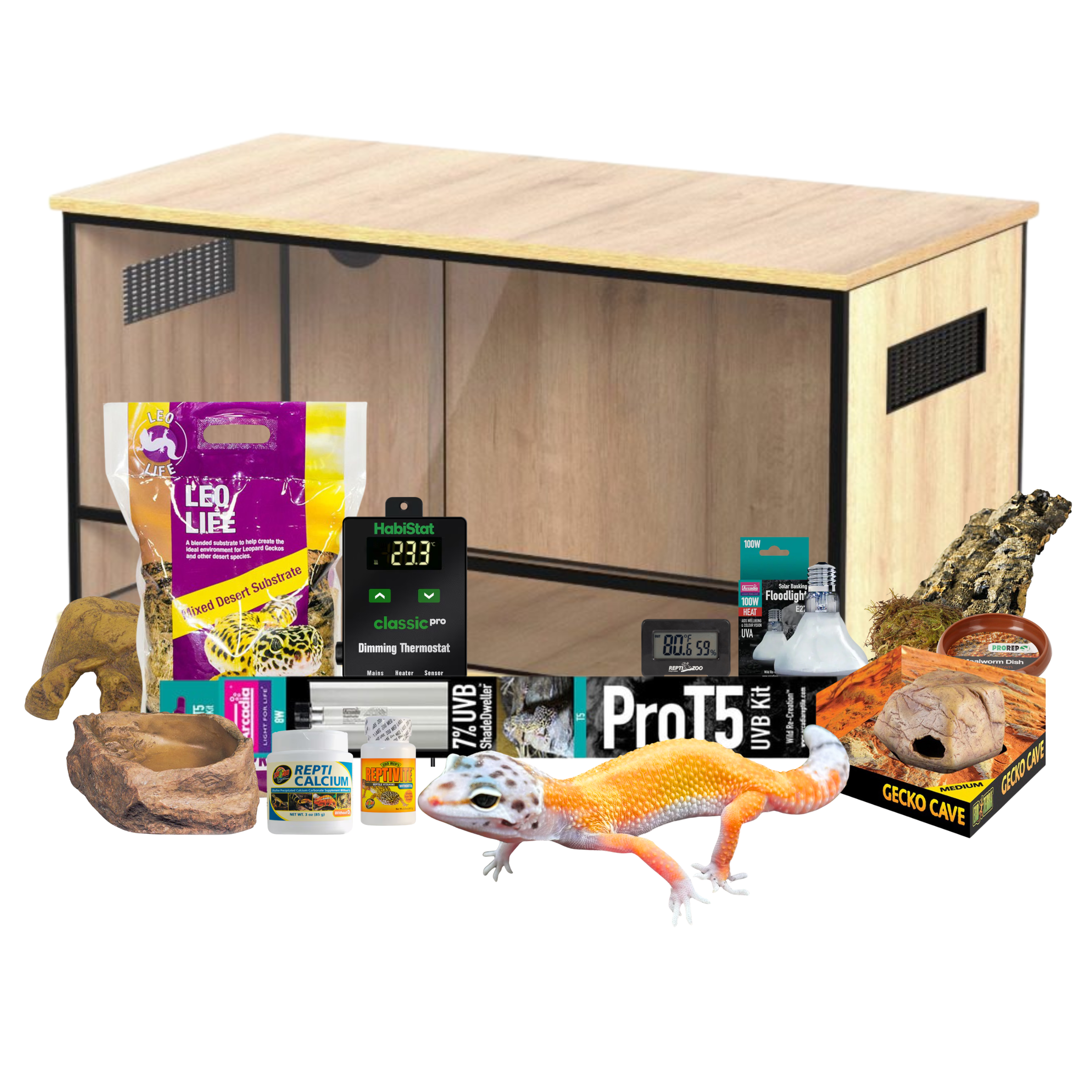 Leopard Gecko Starter Kit