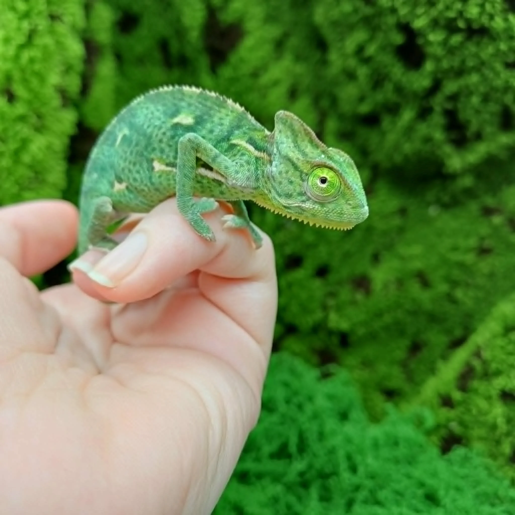 e31a8f3e-10ce-4bec-b77b-f4c15c3834f0.jpeg