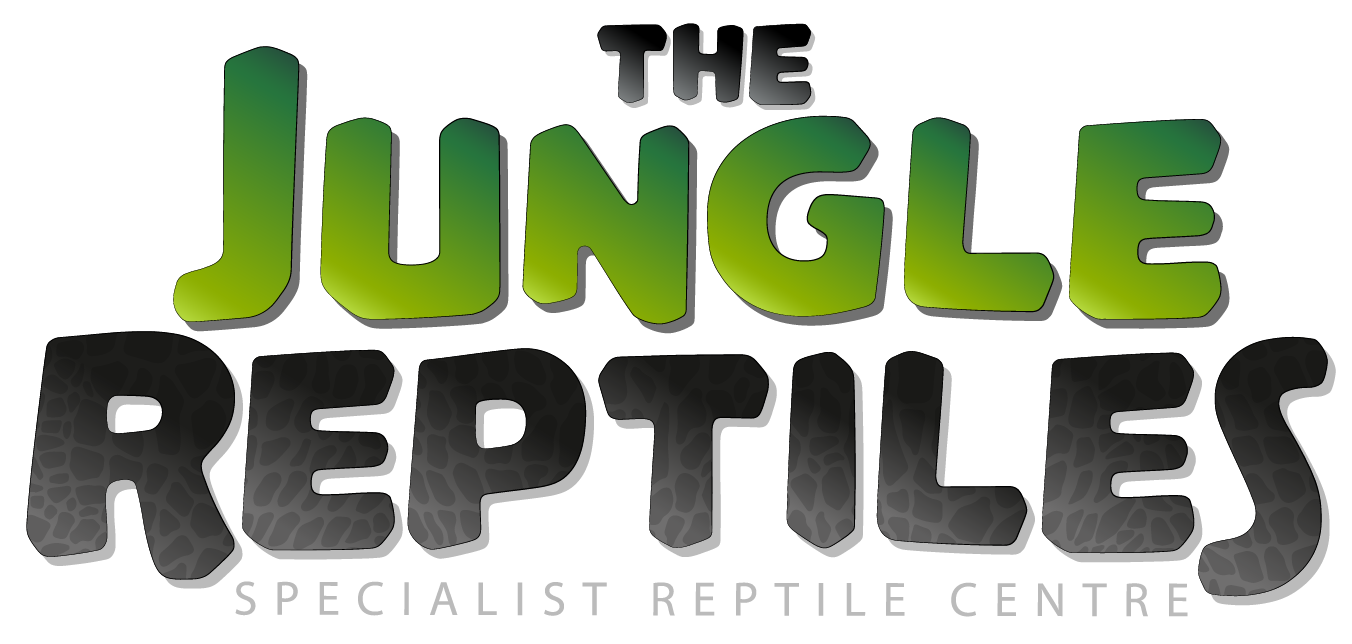 Jungle Reptiles