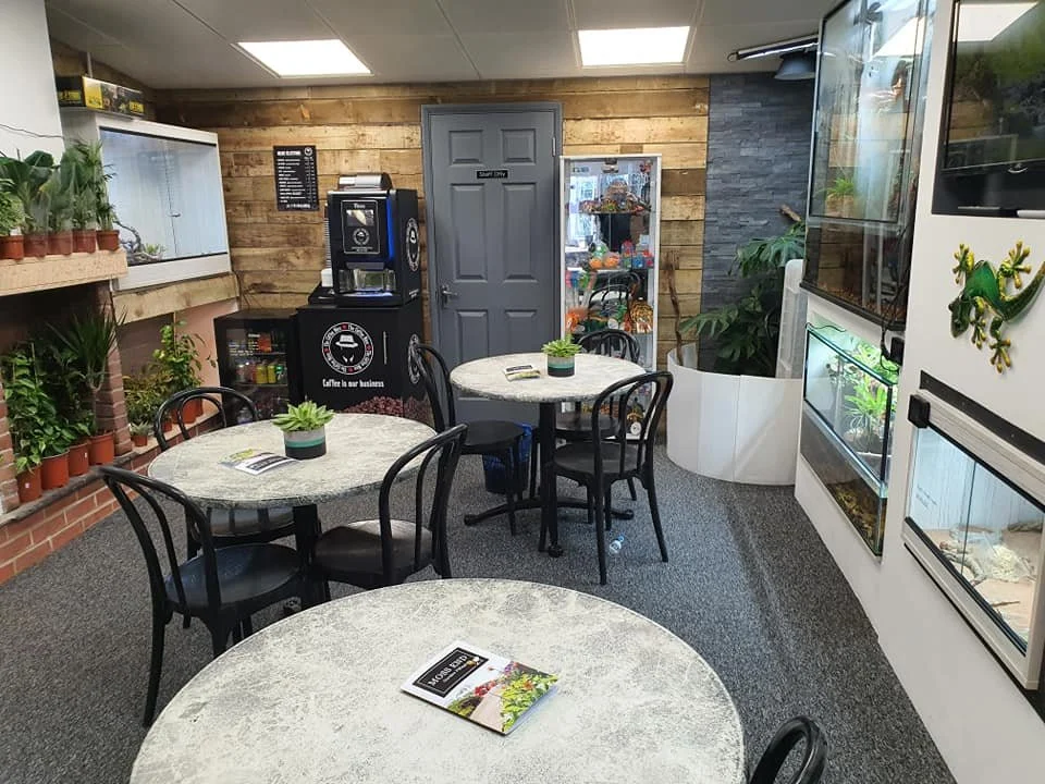 UK Reptile Shop - Jungle Reptiles