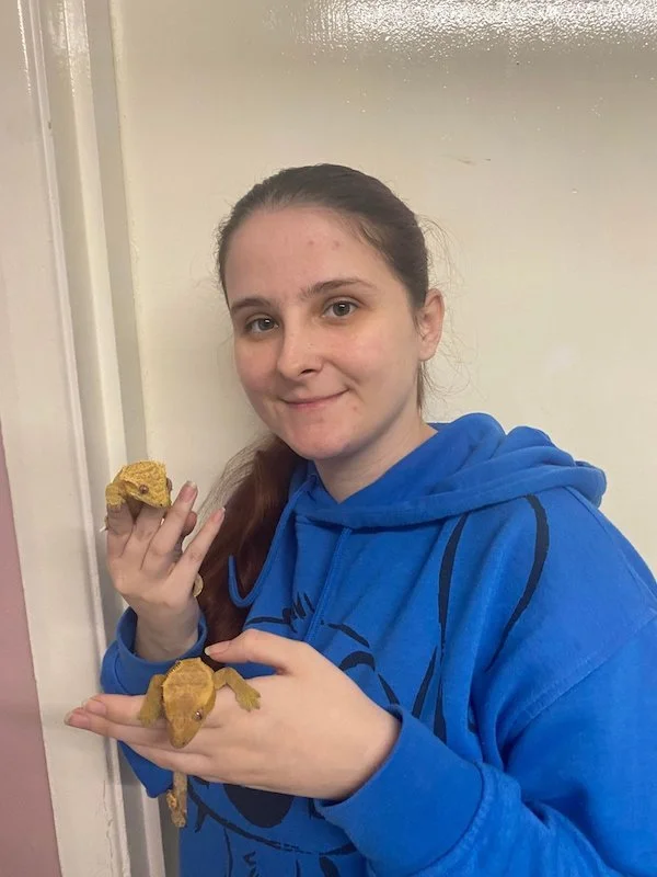 Questions - Reptile Shop UK