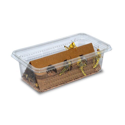 Monkfield-Locusts-Tub-1.jpg