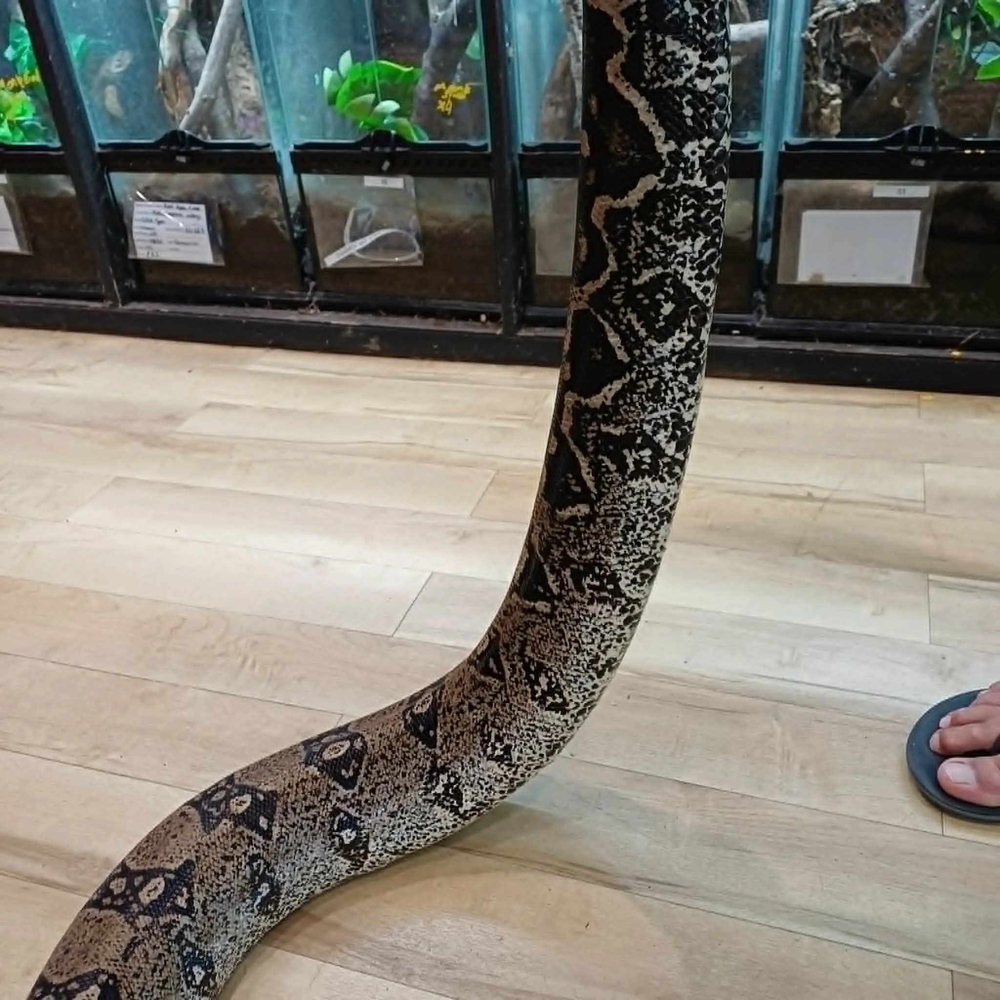 687b1312-29fb-466c-8518-952d2e2a1c0a.jpeg