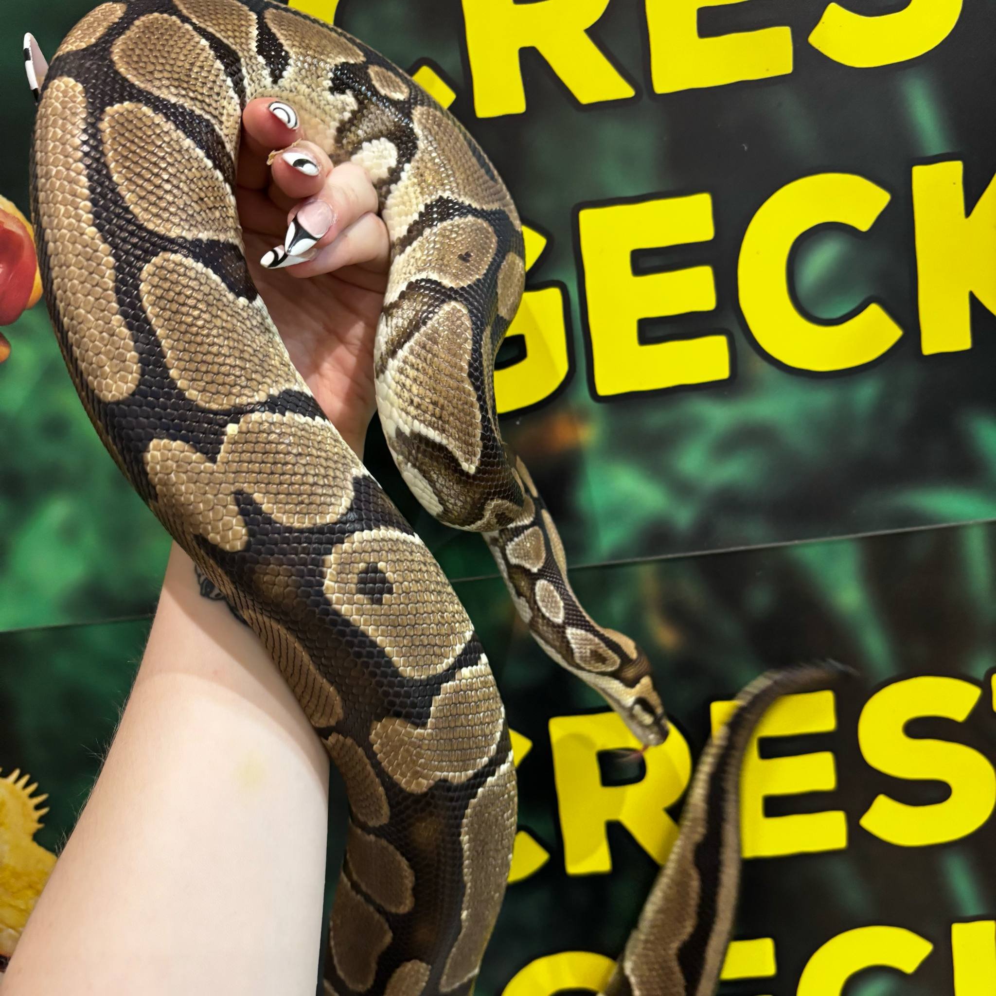 e35e8627-2811-4762-99f9-4024003a92d8.jpeg