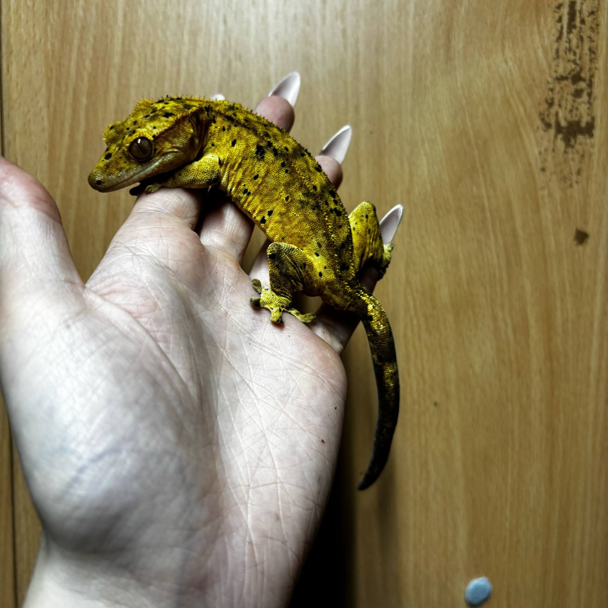 1abf1134-f8cf-46d0-ab43-957a20006831.jpeg