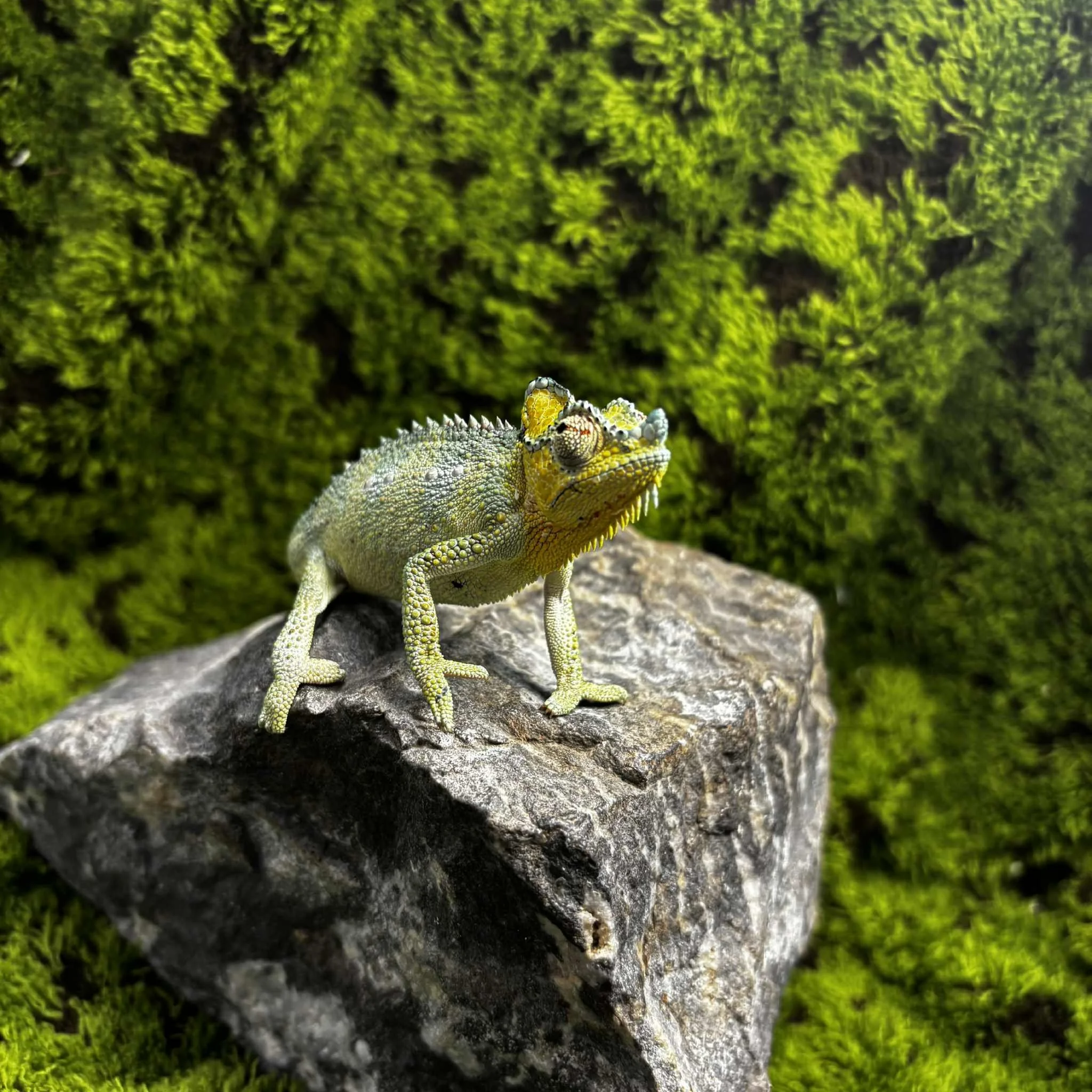 58d45506-0bb3-424e-a297-840f8017102d.jpeg
