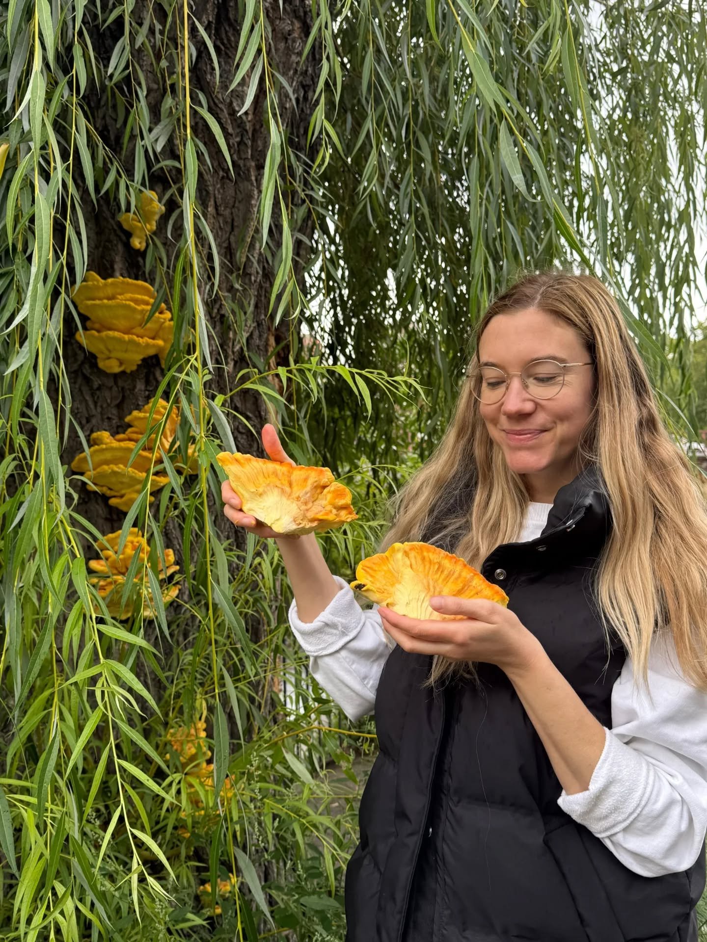 Found these beauties on my Friday morning walk to La Maison ☕ 
pistachio roll 🥐 < 🍄🍄🍄 chicken of the woooooods 😍🙌🏼