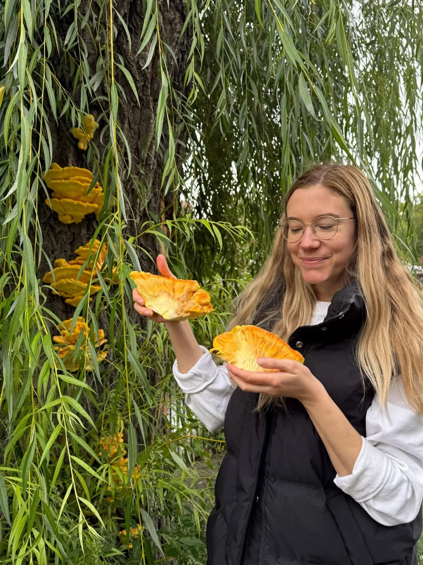 Found these beauties on my Friday morning walk to La Maison ☕ 
pistachio roll 🥐 < 🍄🍄🍄 chicken of the woooooods 😍🙌🏼