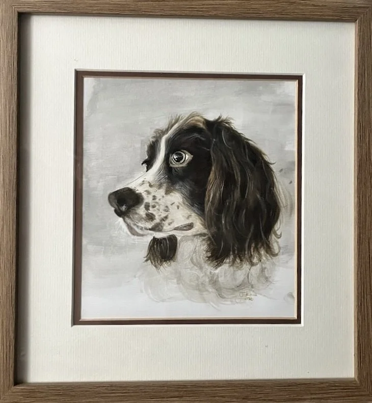 Toby - aka Mr T - my first attempt at a pet portrait, back in 2016!