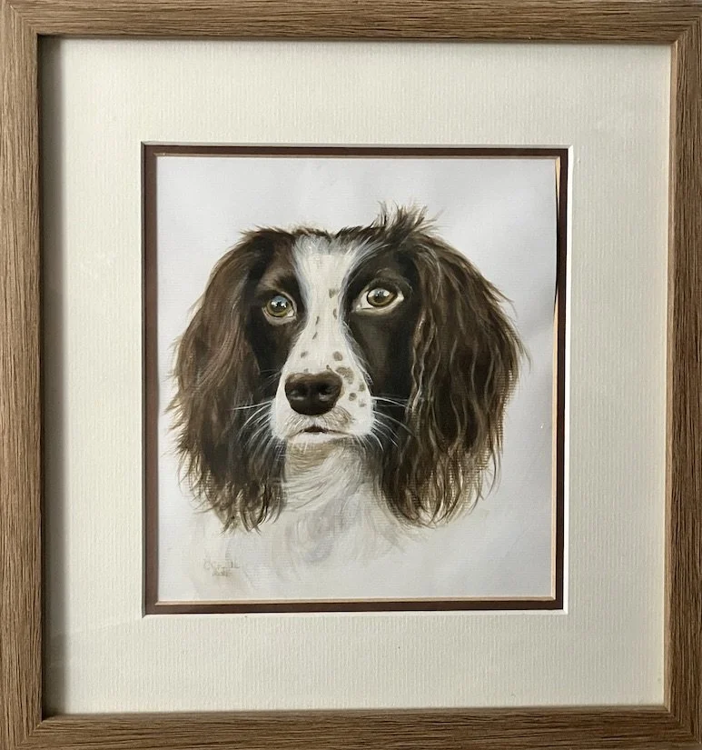 Lola  - my 2nd pet portrait..