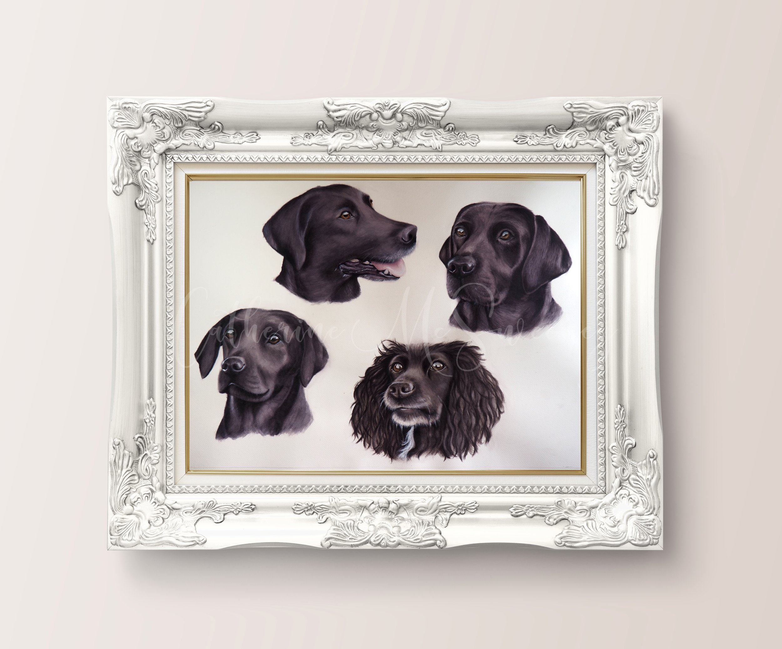 Labradors.jpg
