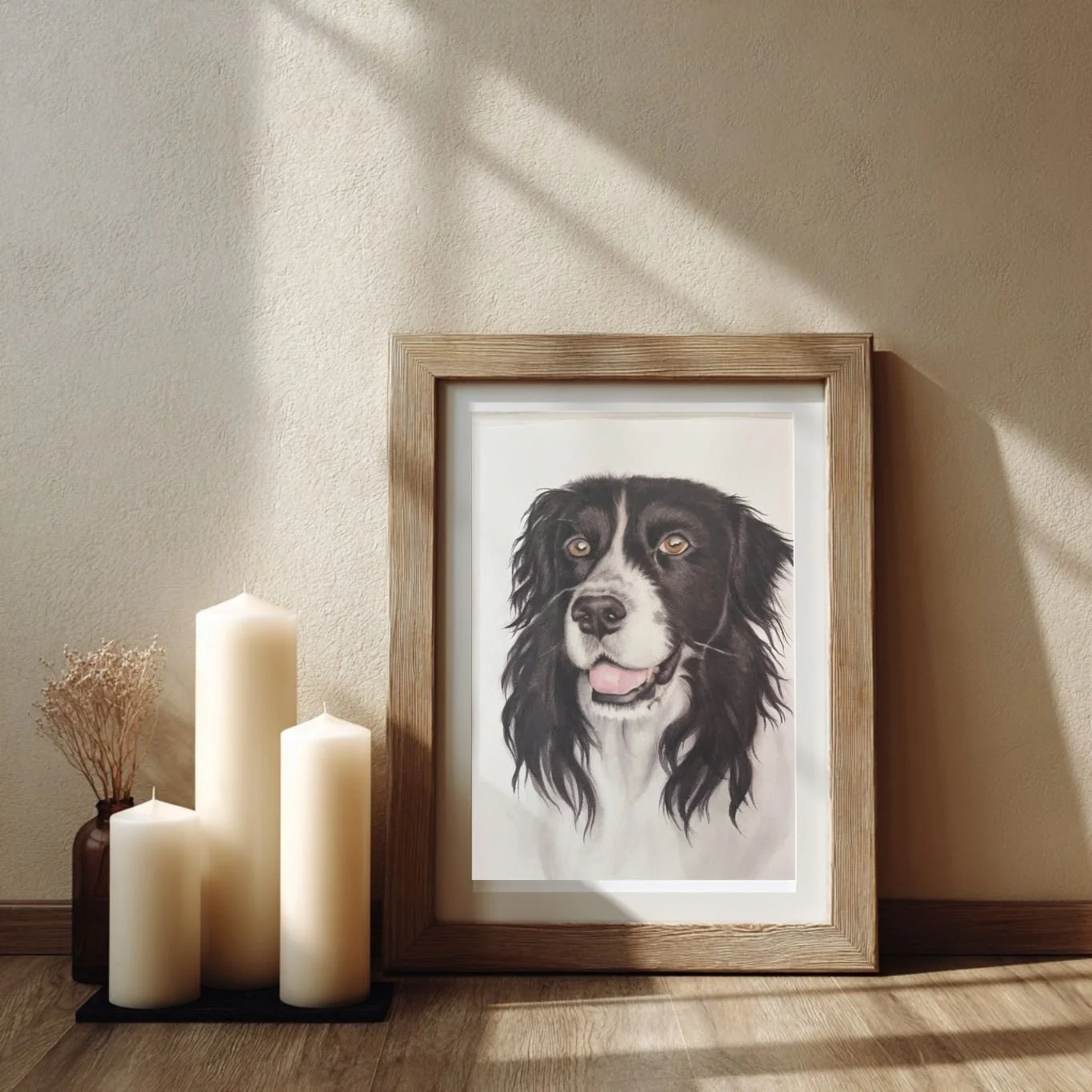 Border Collie pet portrait