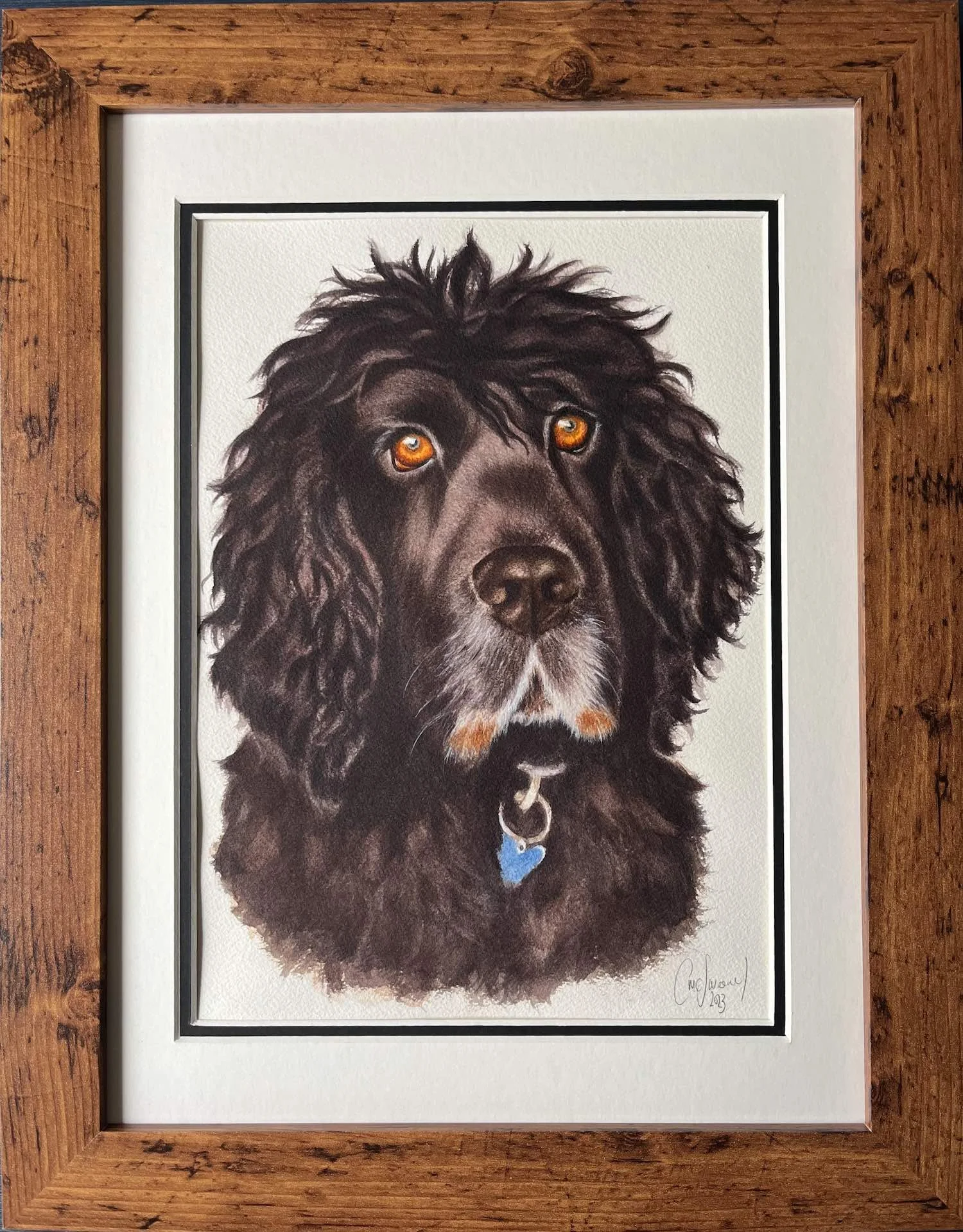 watercolour pet portrait curly black dog