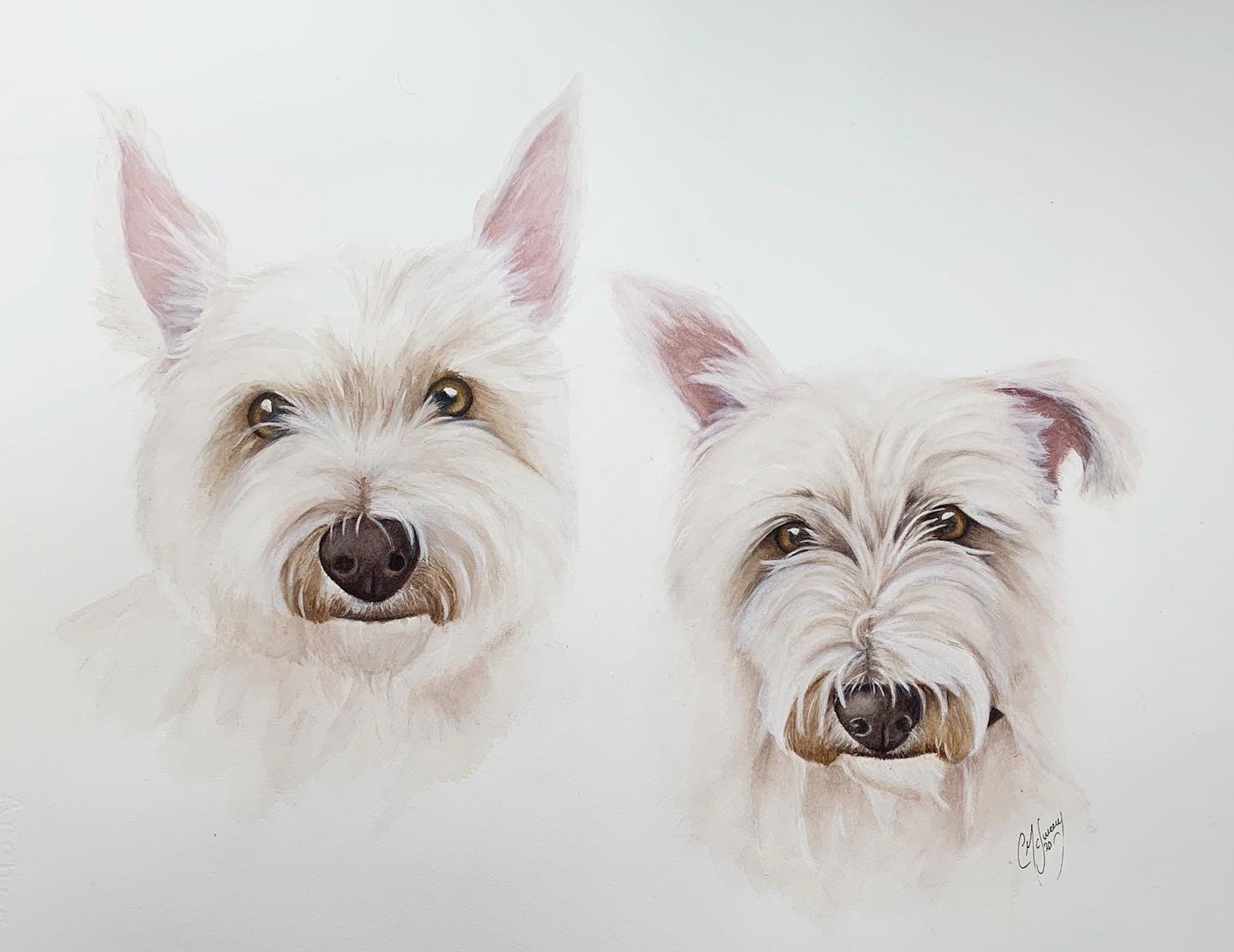 westies.jpg