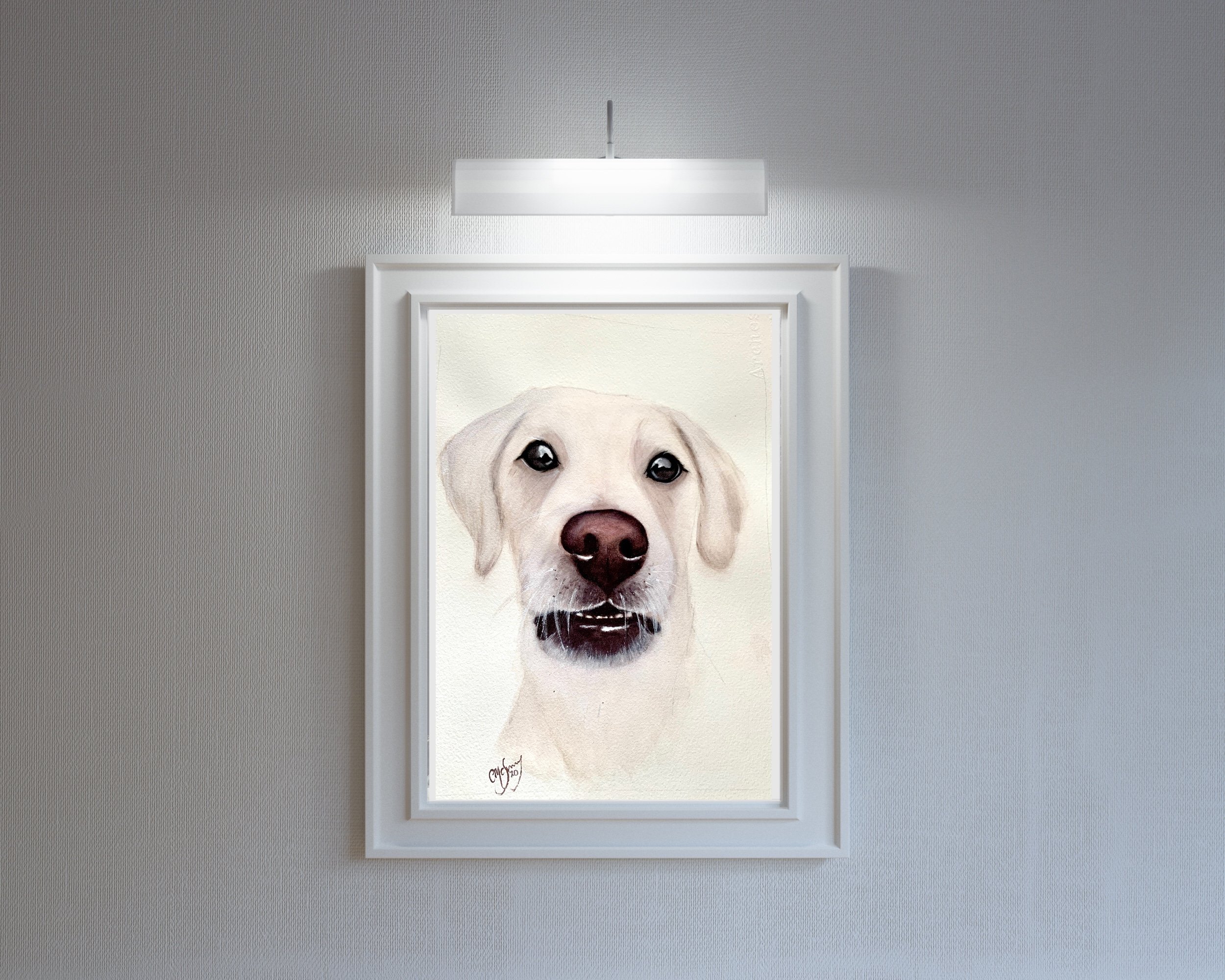 Chalky gallery.jpg