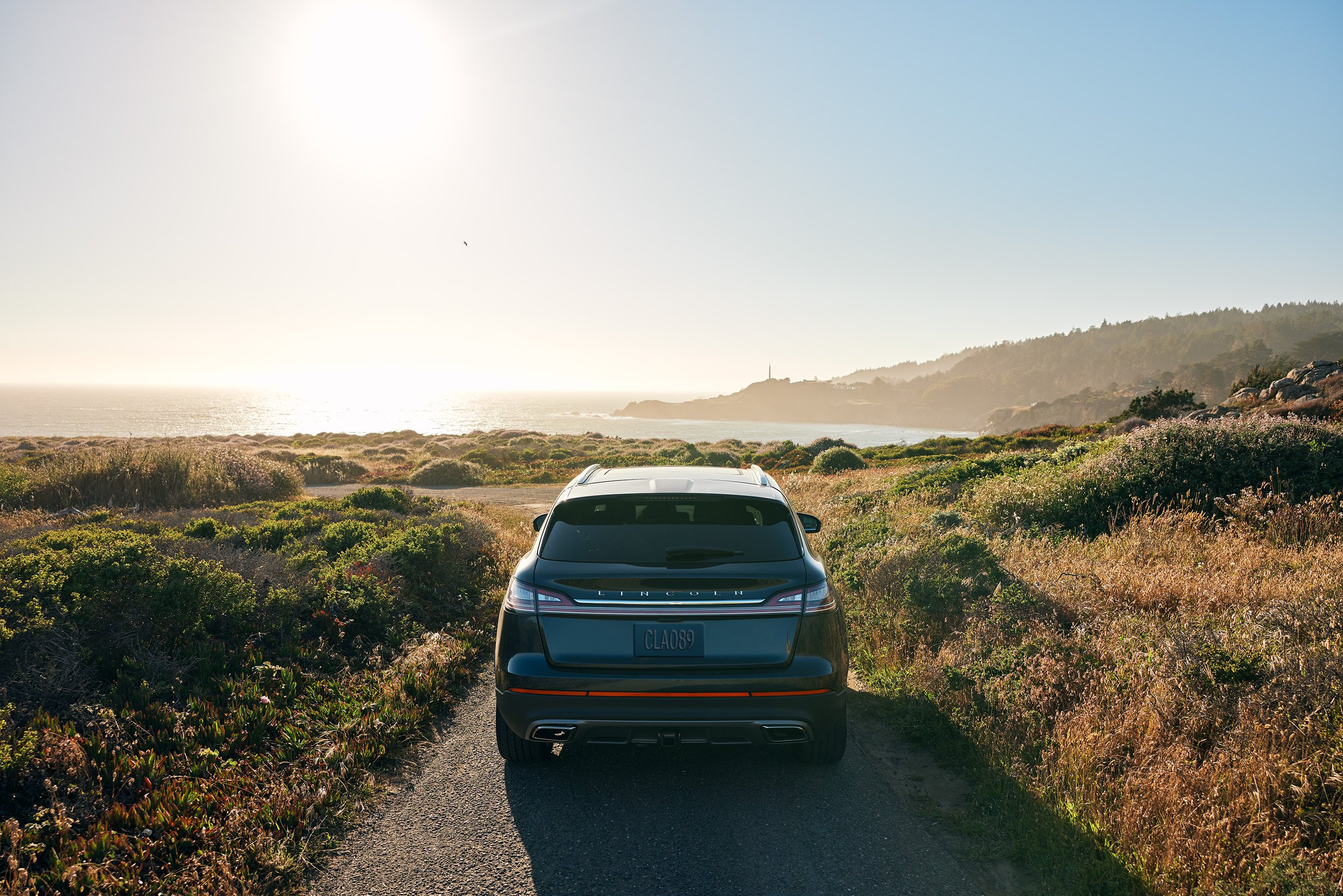 Frame 1 - full image - Nautilus_Ozer_7.jpg