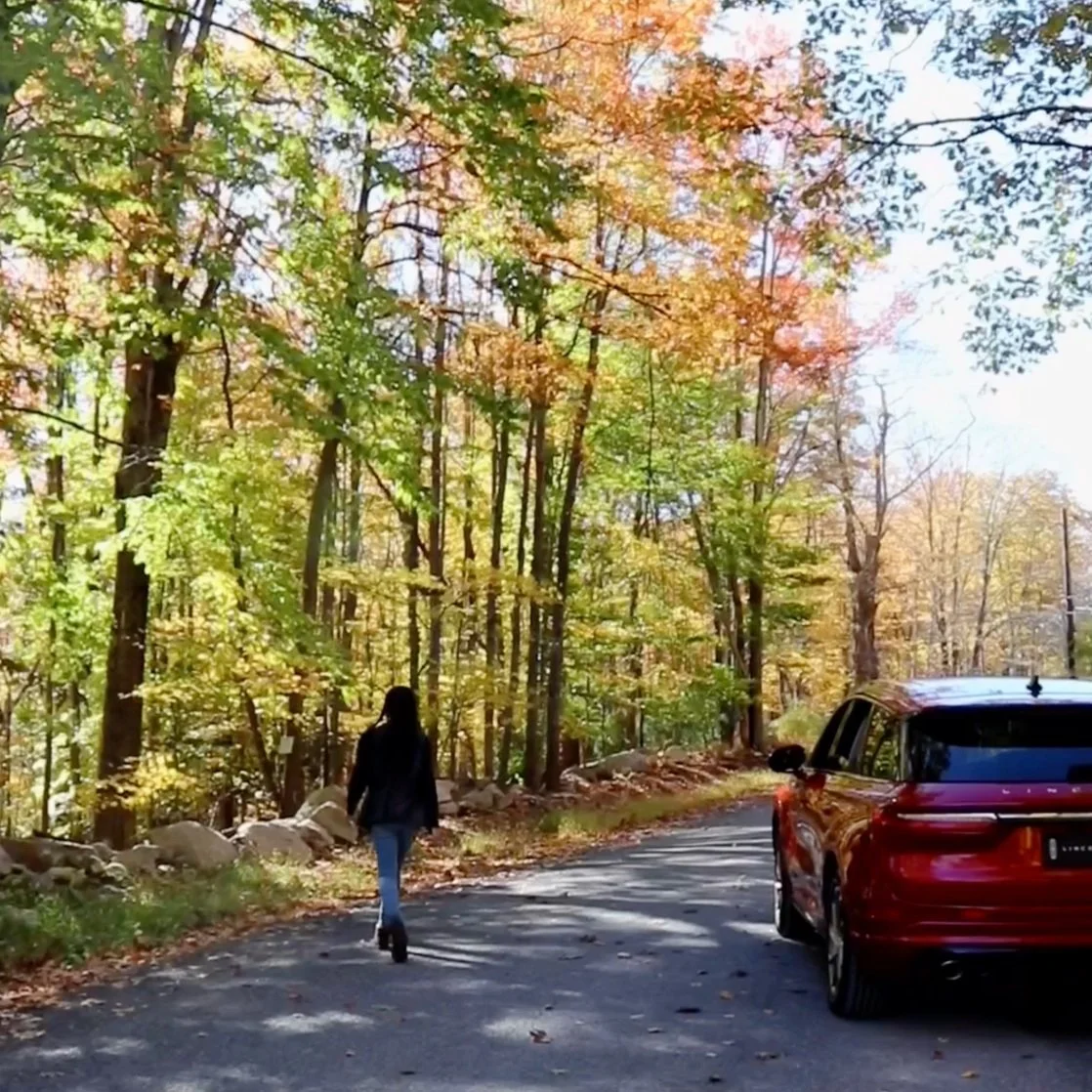 Screenshot 2023-02-11 at 12.05.43 AM.jpg