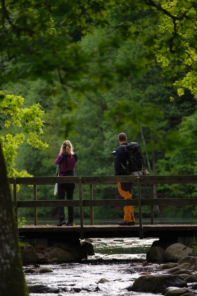 Två personer står på en bro över en bäck i en skog.