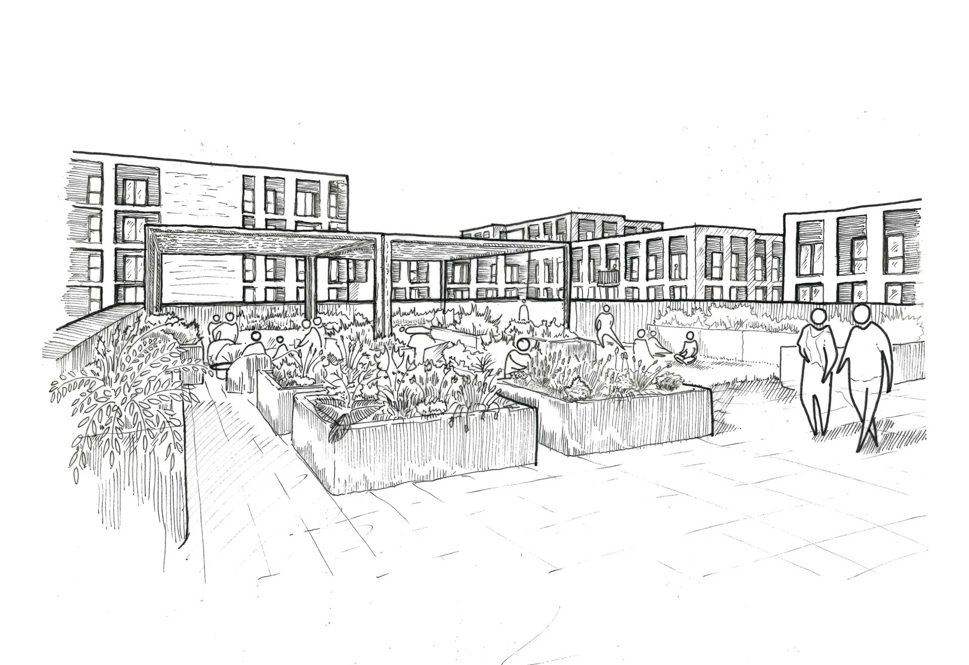 Sketch (web).jpg
