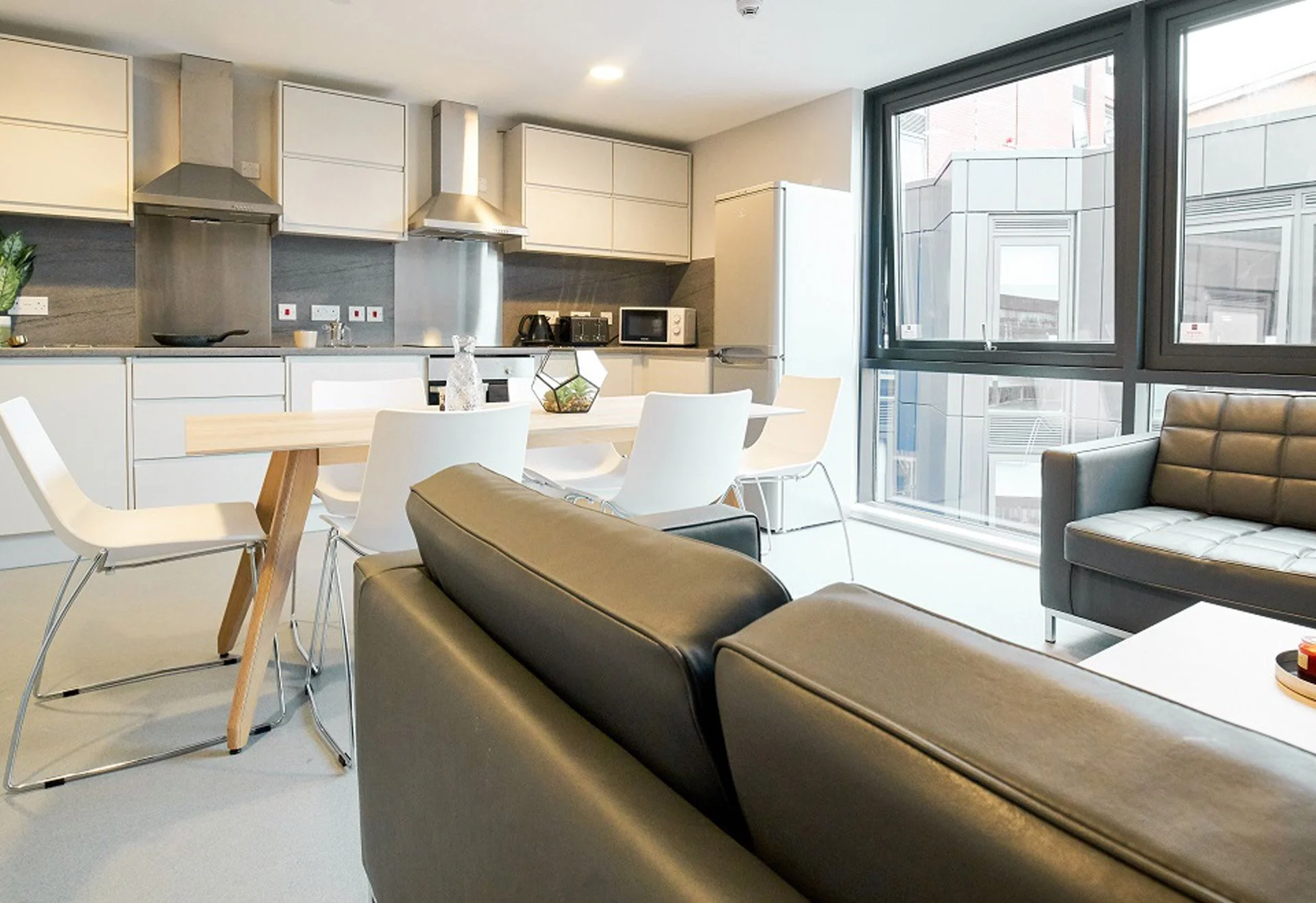 student-accommodation-straits-manor-classic-ensuite-006-06 (web).jpg