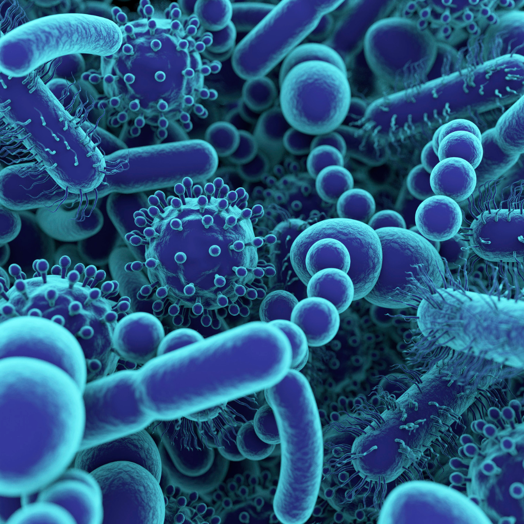 What is Intestinal Permeability?