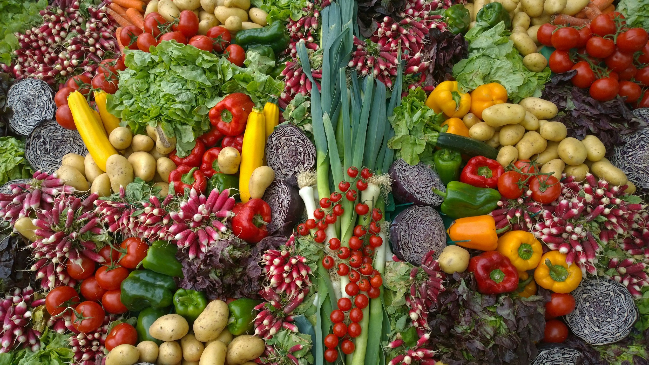 The Importance of a Colorful Diet for a Healthy Microbiome