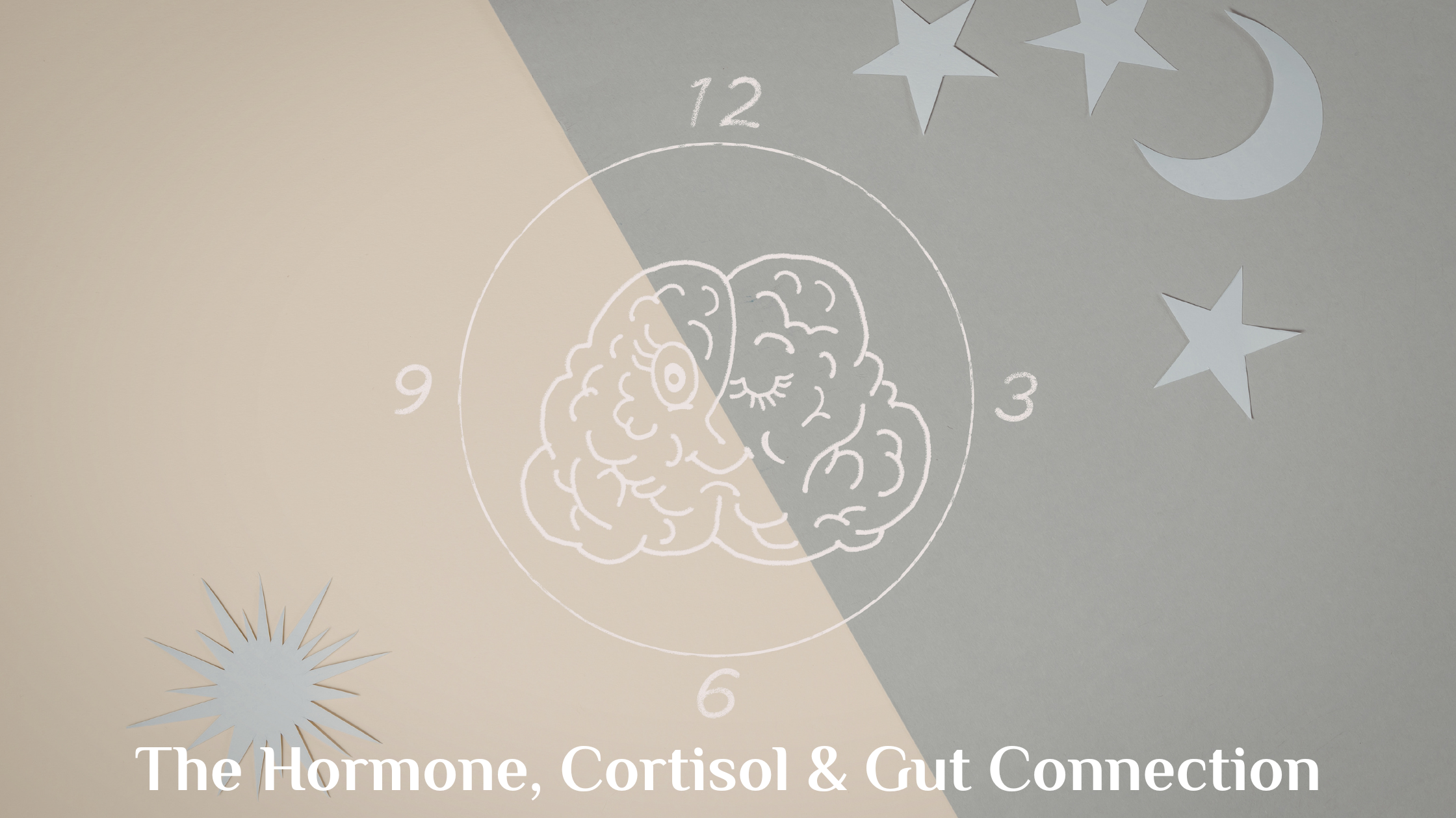 Why You Can’t Sleep in Perimenopause: The Hormone, Cortisol, and Gut Connection No One Is Talking About