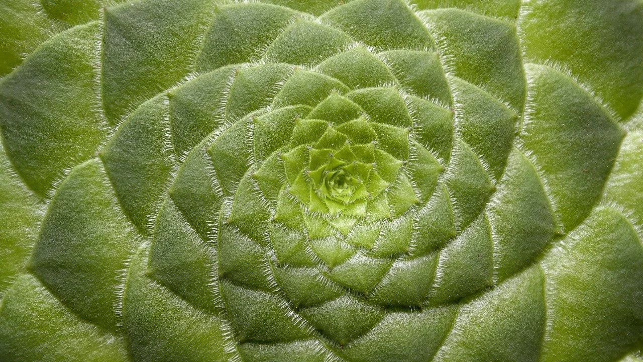 Restoring Balance: How Functional Medicine Can Help with Brain Fog, Fatigue, and Bloating