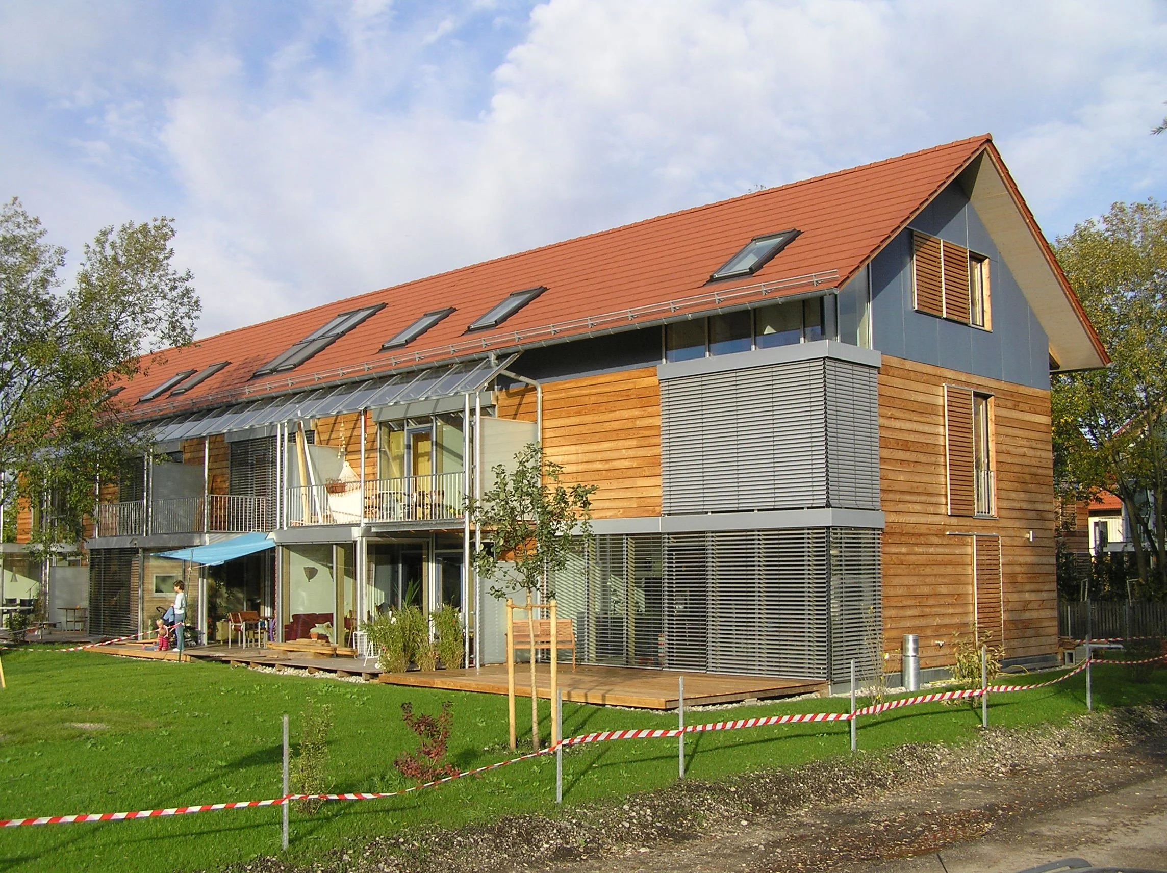 2006_Schnepfe2_05.JPG