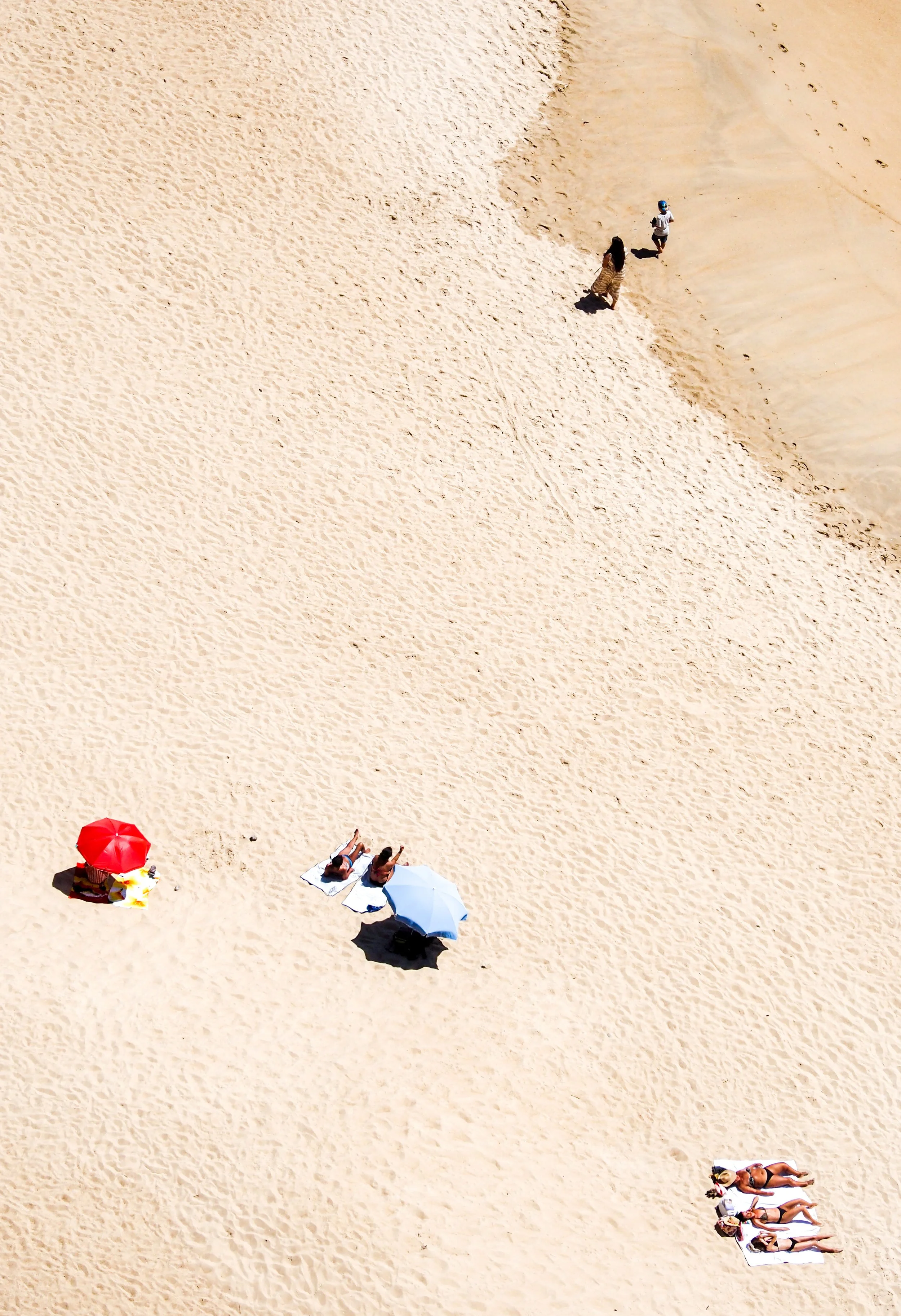 Unwitting actors, 2022