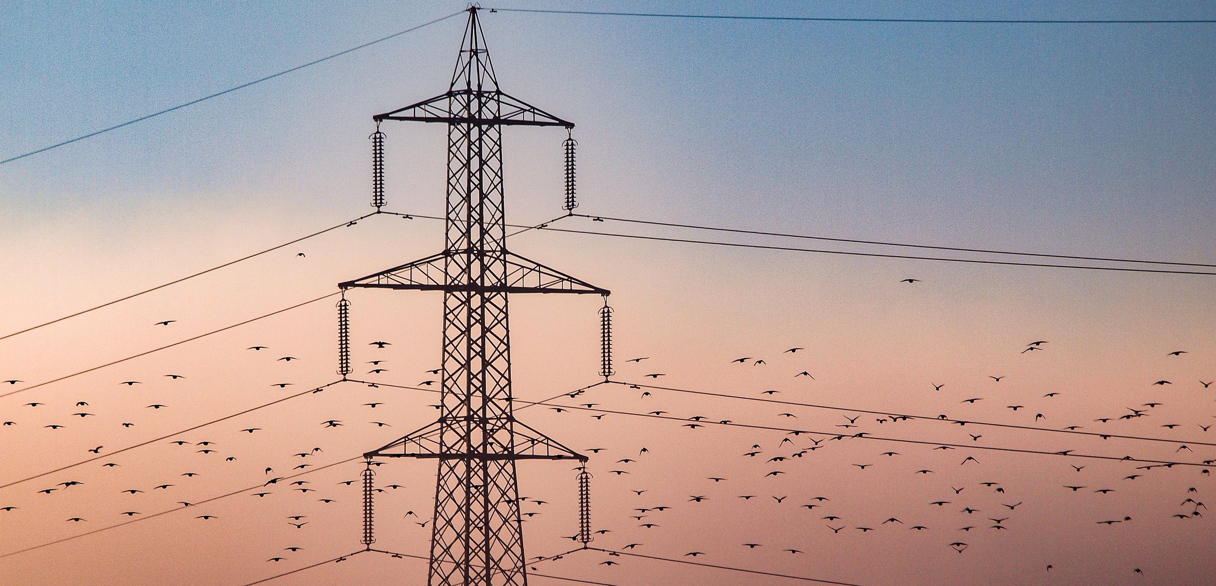 November sunrise, 2021