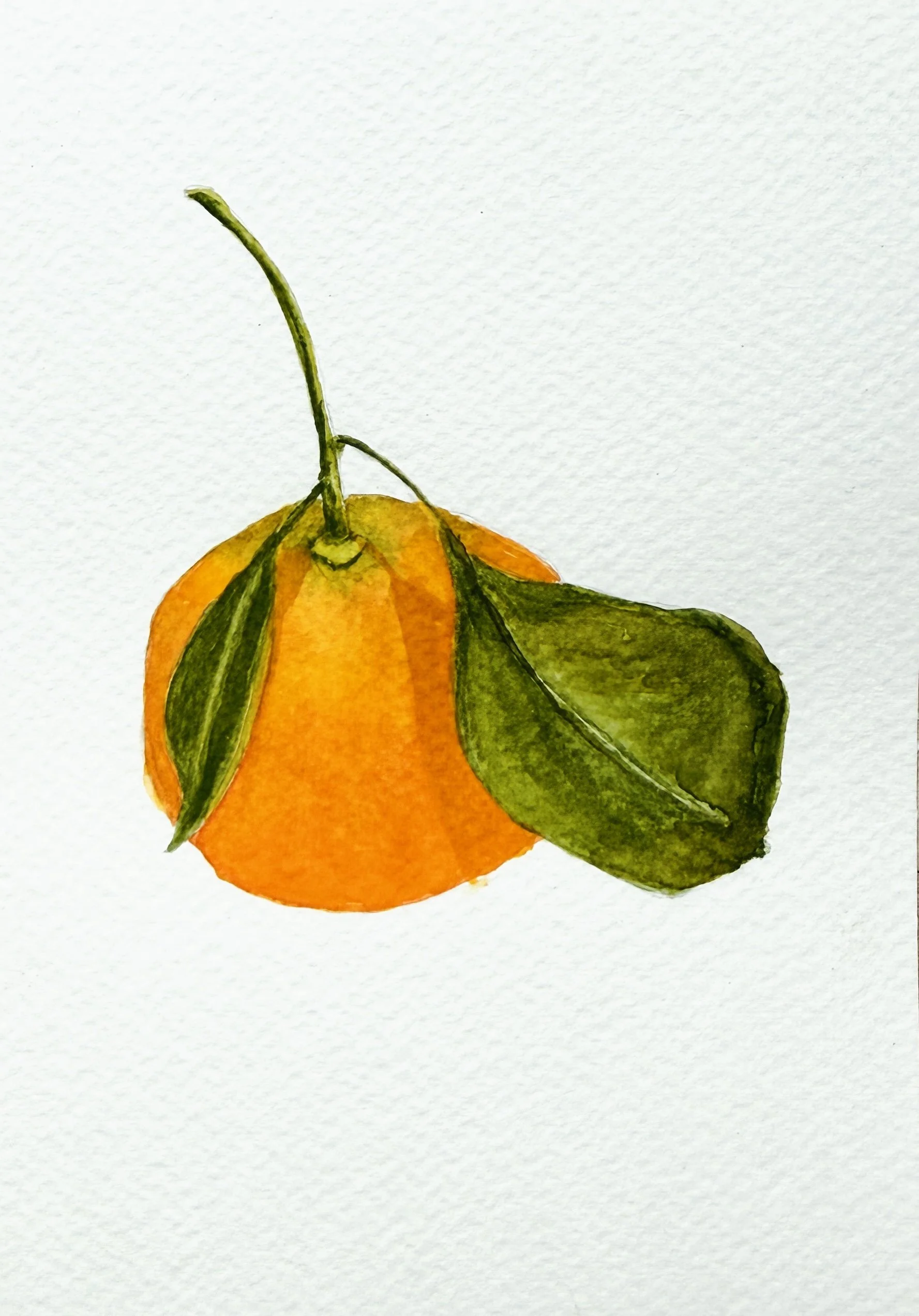 Orange Watercolor 5x7.jpg