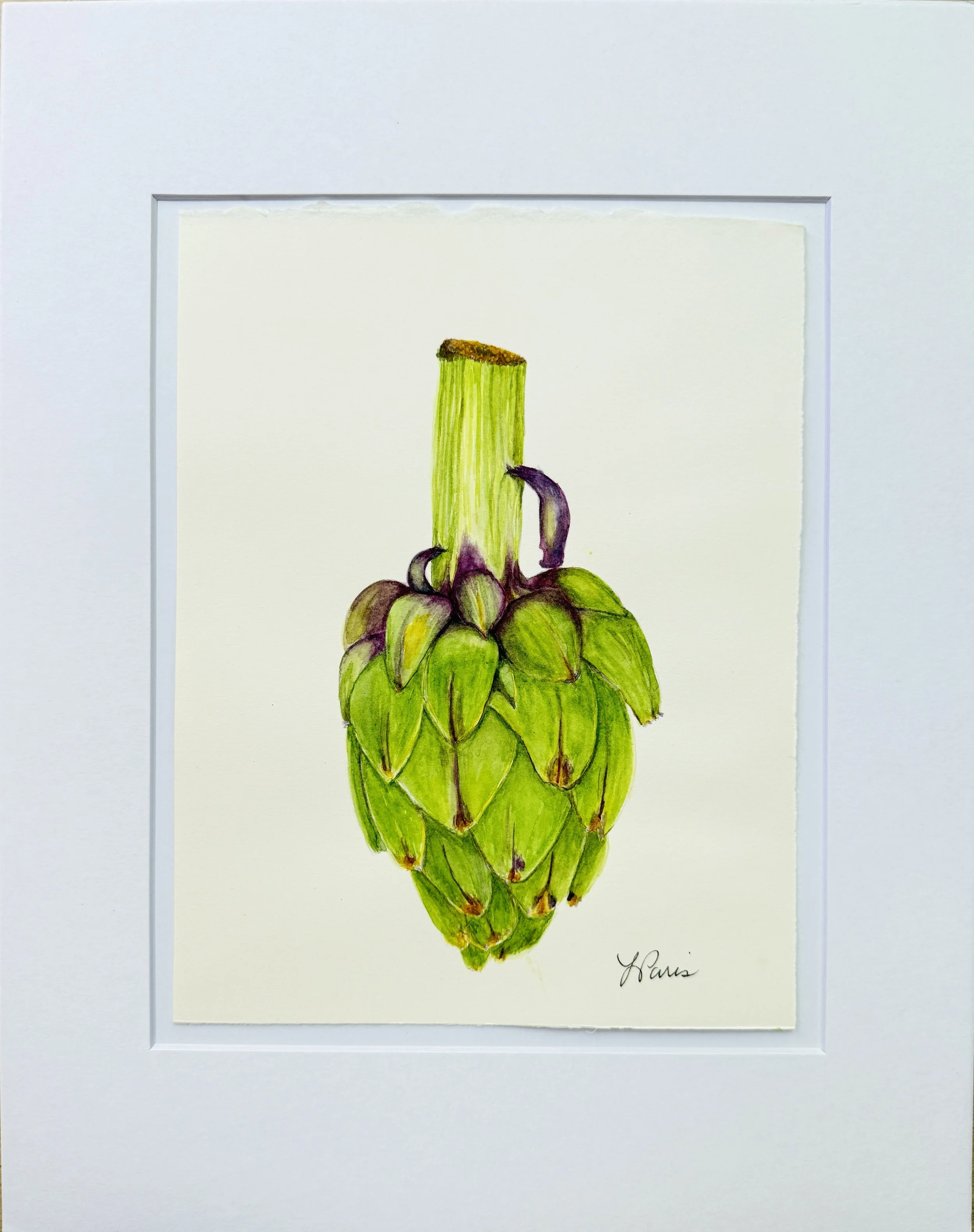 Artichoke watercolor.JPG