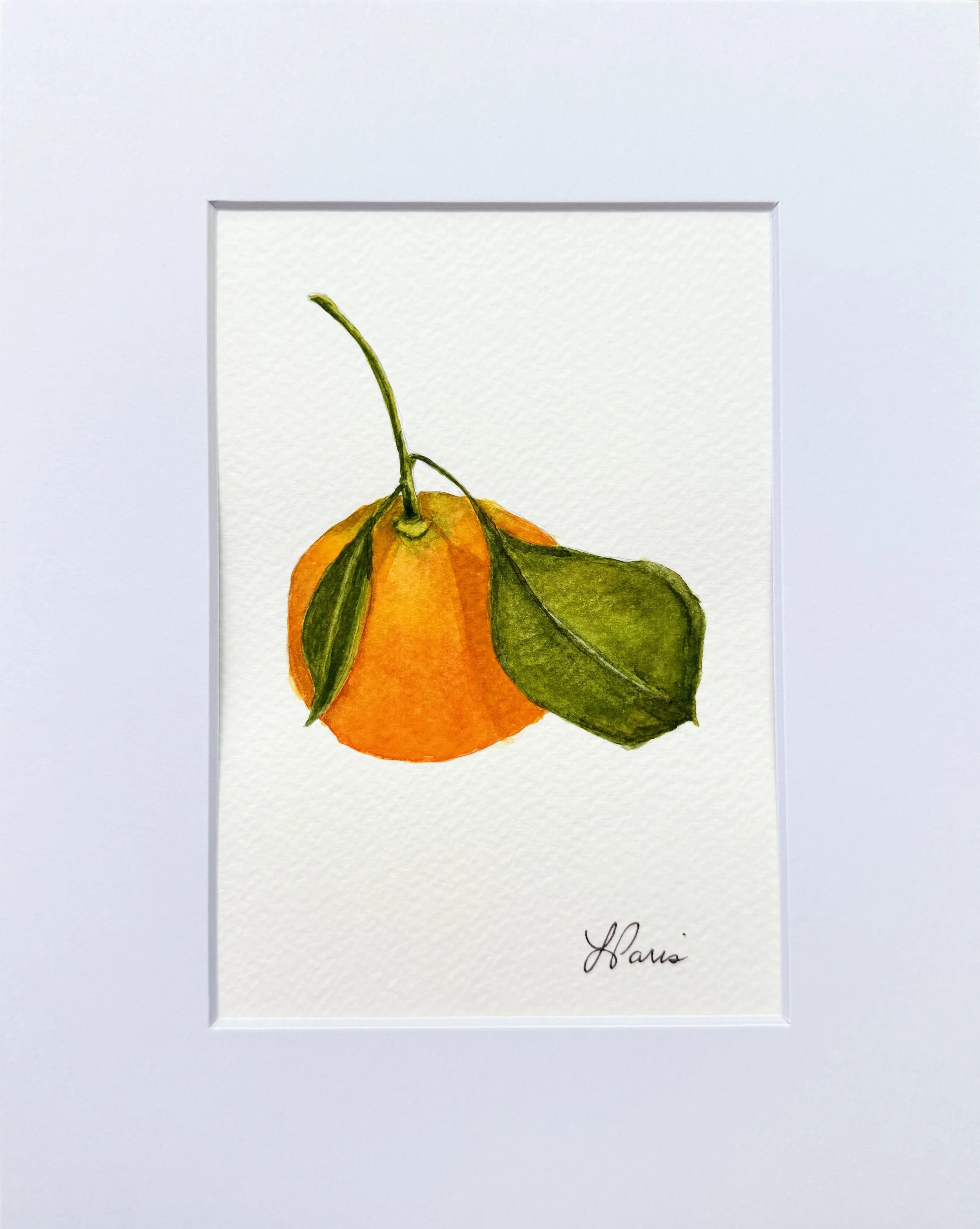 Orange with leaves watercolor.JPG