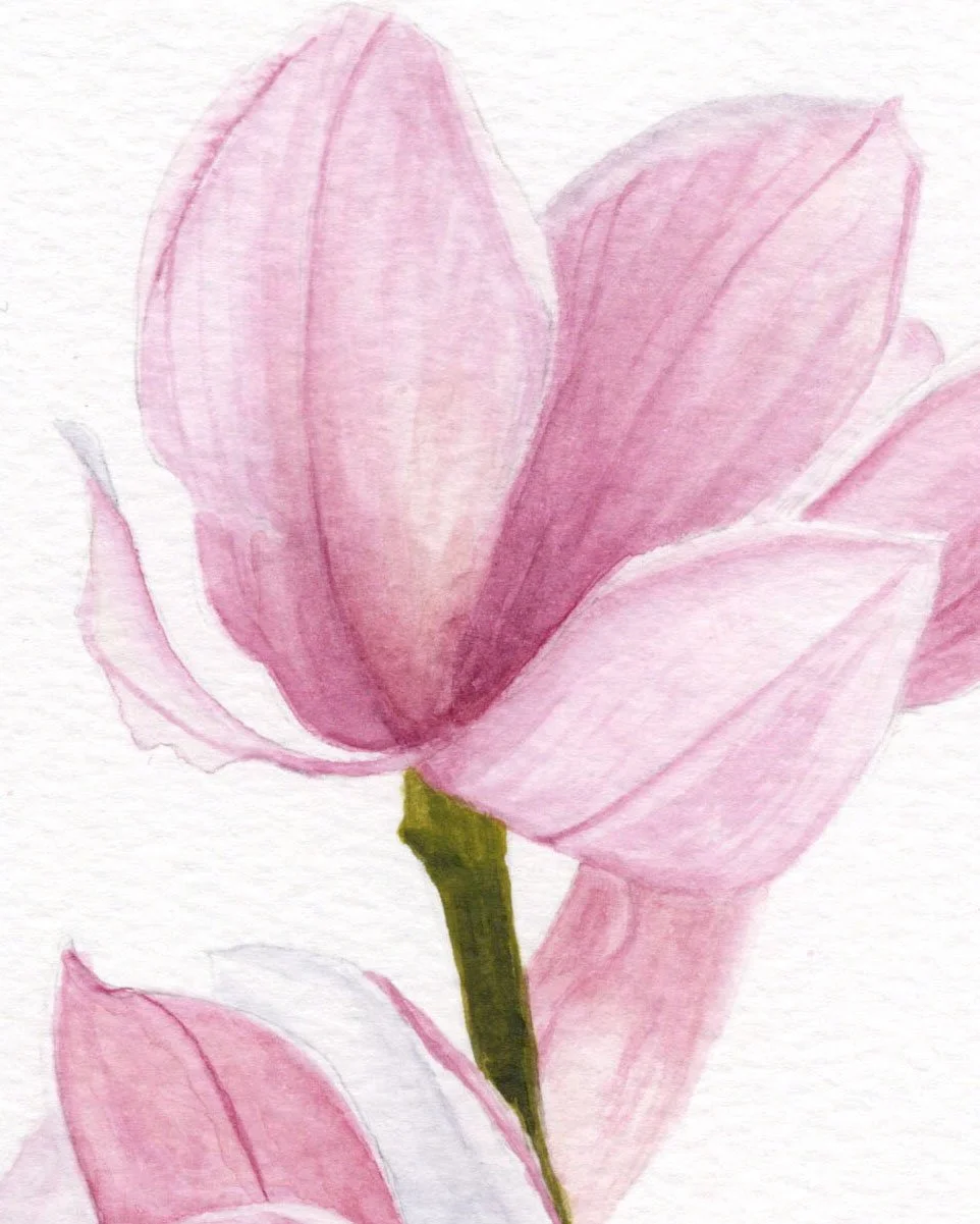 Dogwood bloom watercolor detail2.jpg