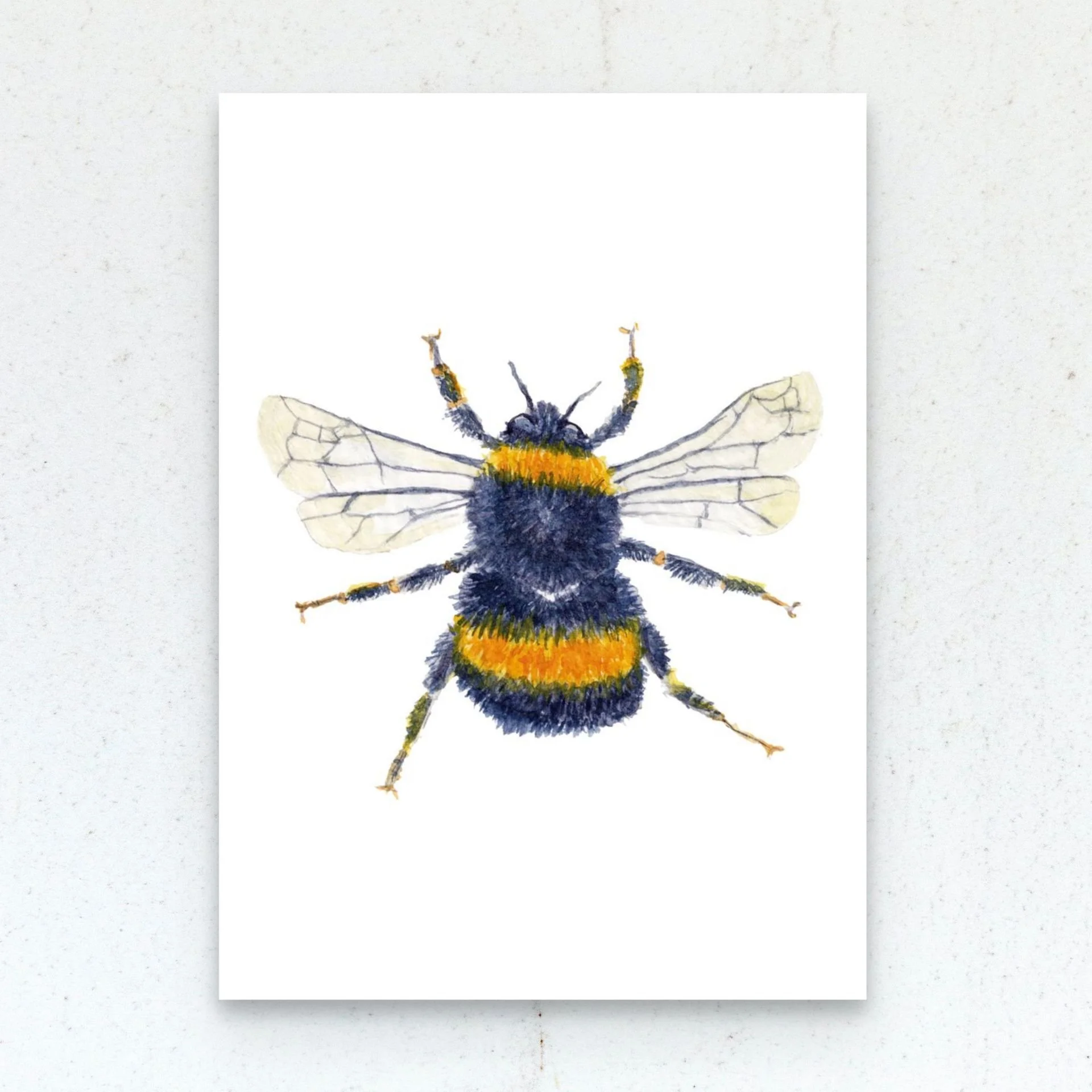 Bumble Bee Watercolor Fine Art Print