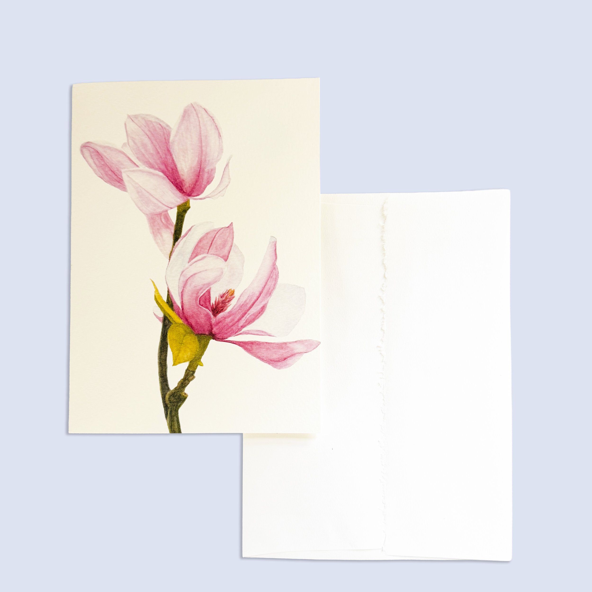Dogwood Blossom Watercolor Note Card