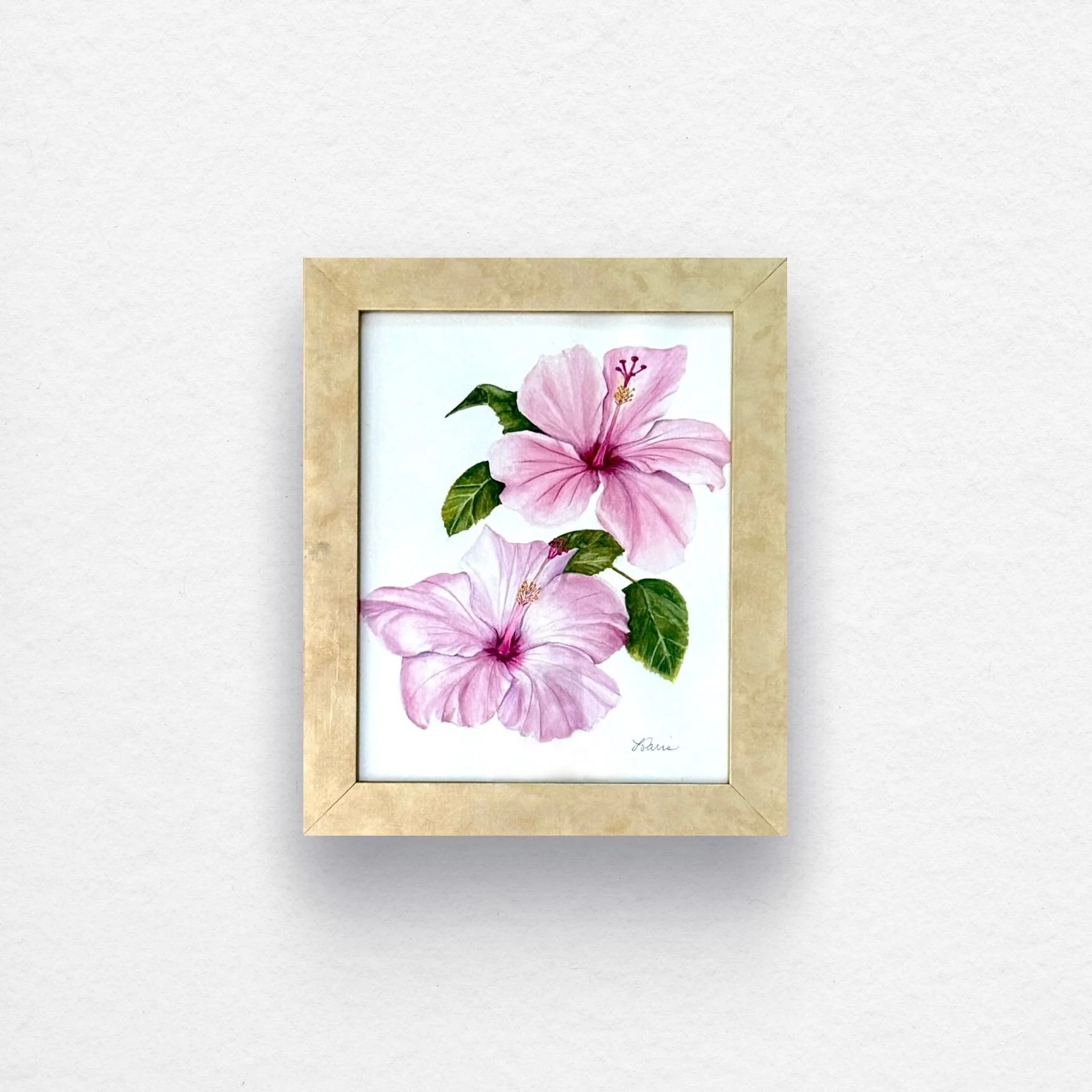 Pink Hibiscus framed on white paper.jpg