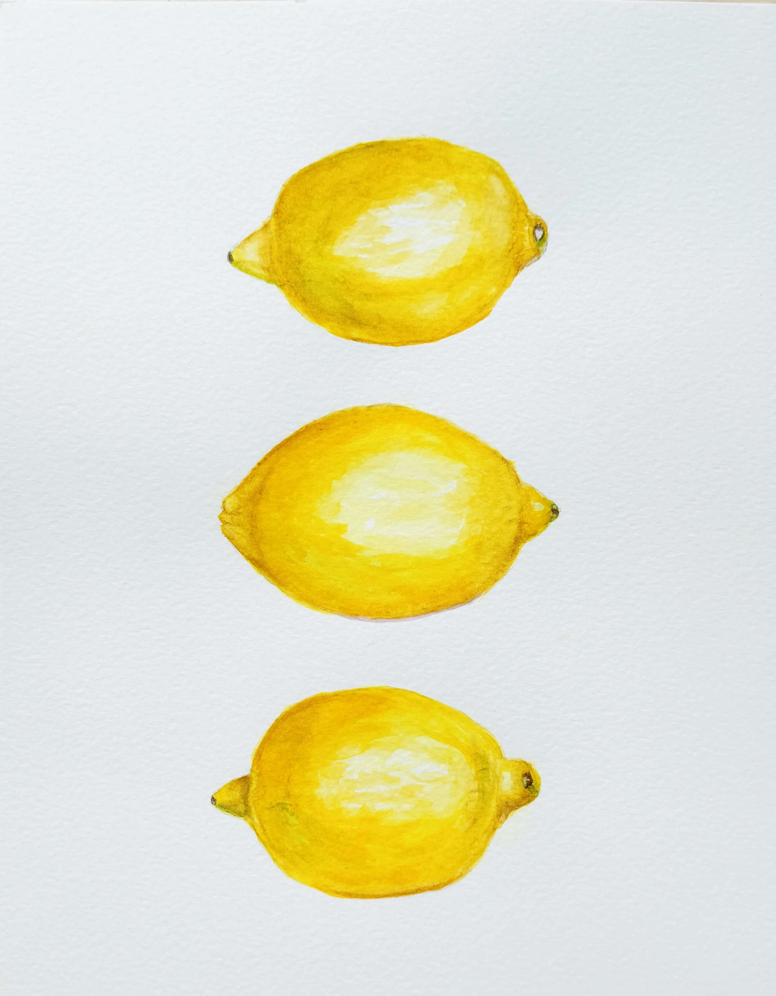 Three Lemons watercolor 8x10.jpg